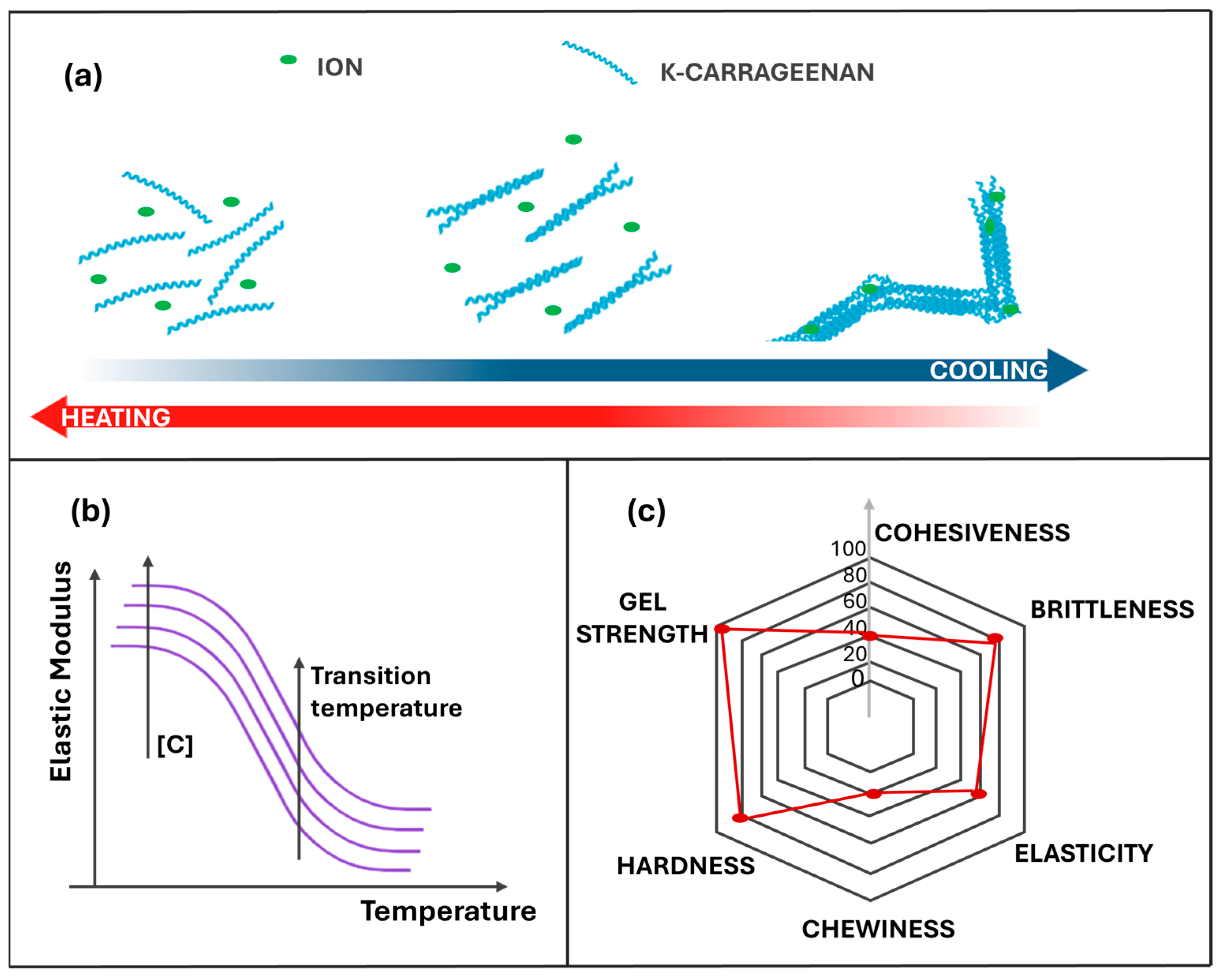 Gels 11 00976 g001 Gels 11 00976 g001