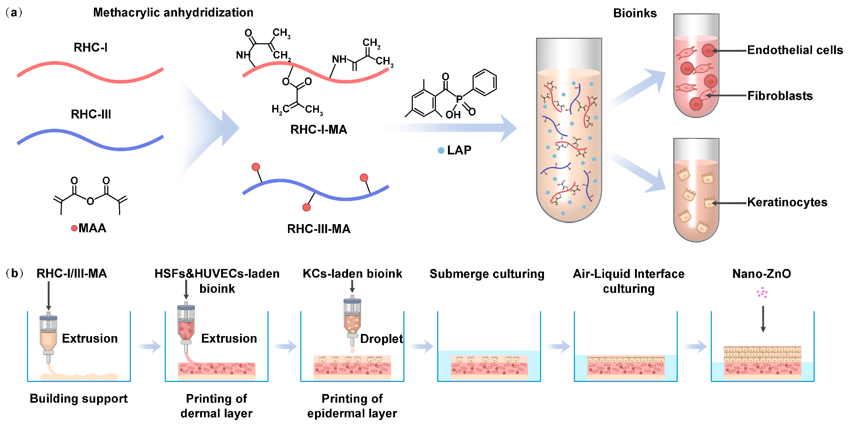 Gels 11 00977 g001 Gels 11 00977 g001
