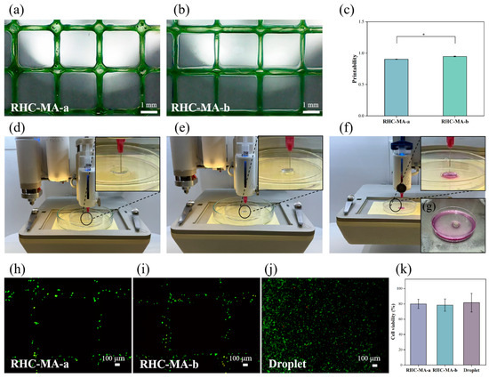 Bioprinted Recombinant Human-Collagen-Based In Vitro Skin Models