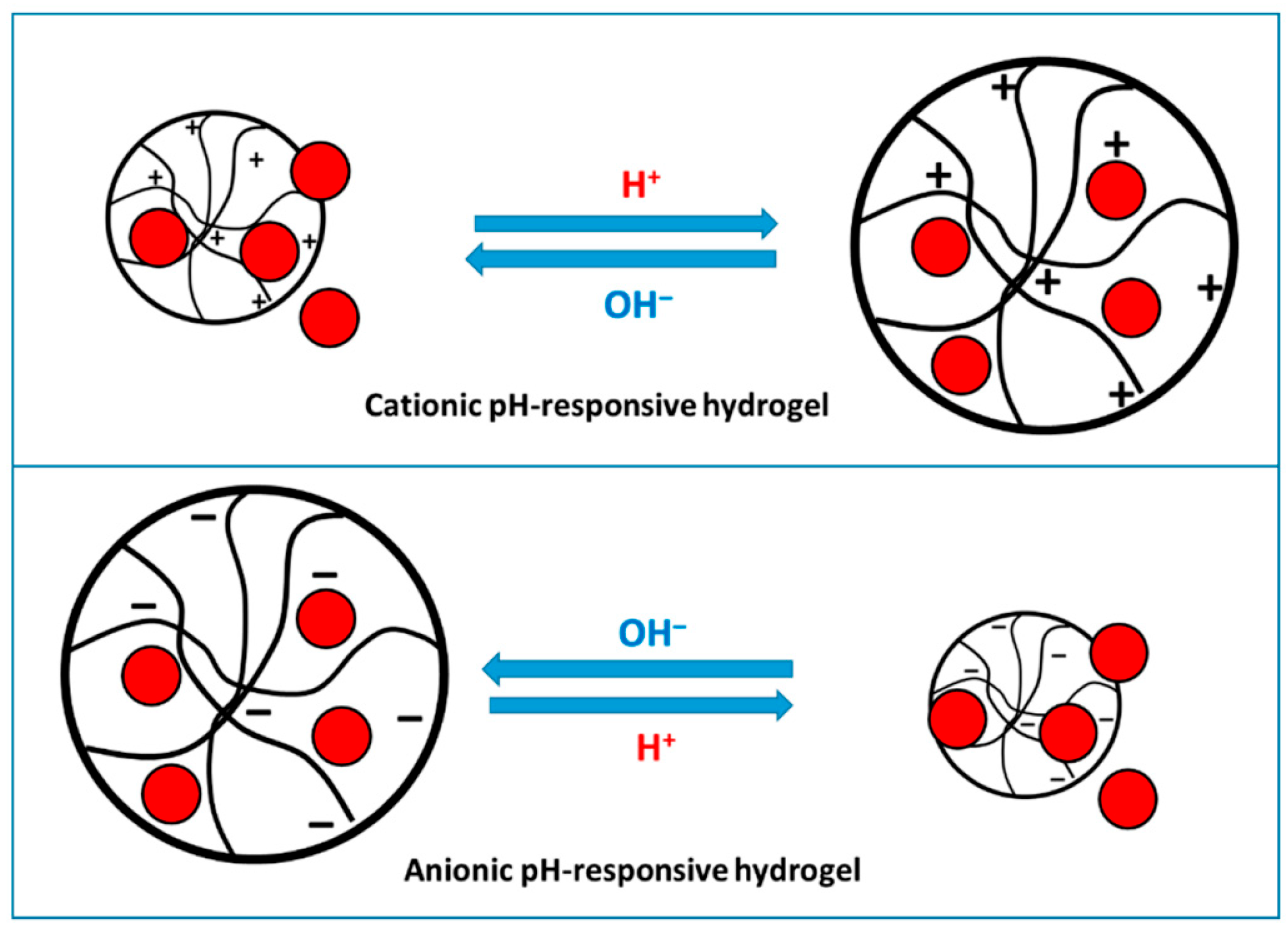 Gels 11 00986 g002 Gels 11 00986 g002