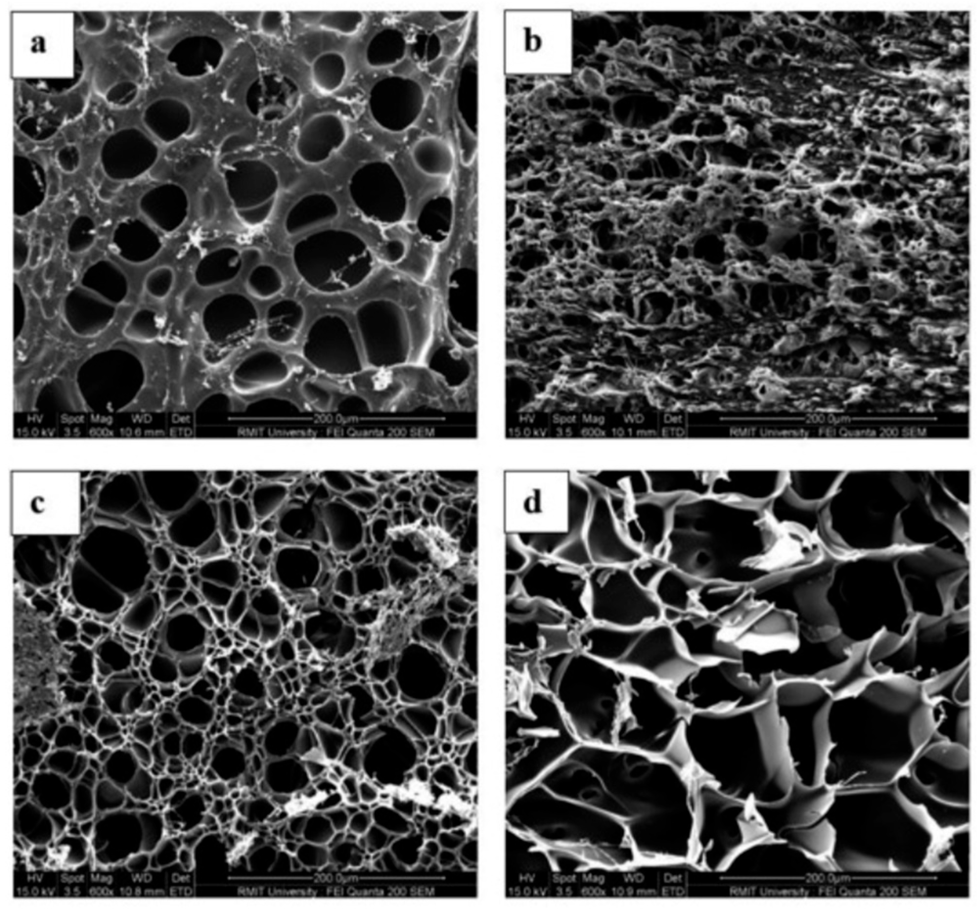 Gels 11 00986 g003 Gels 11 00986 g003