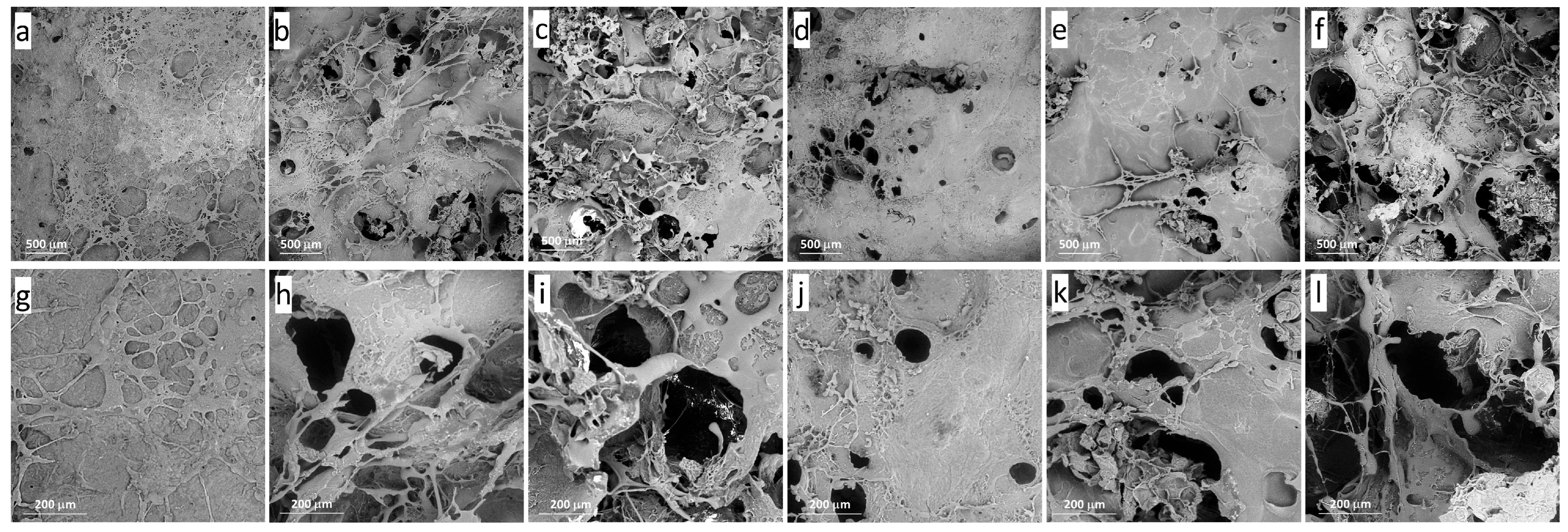 Gels 11 00990 g002 Gels 11 00990 g002