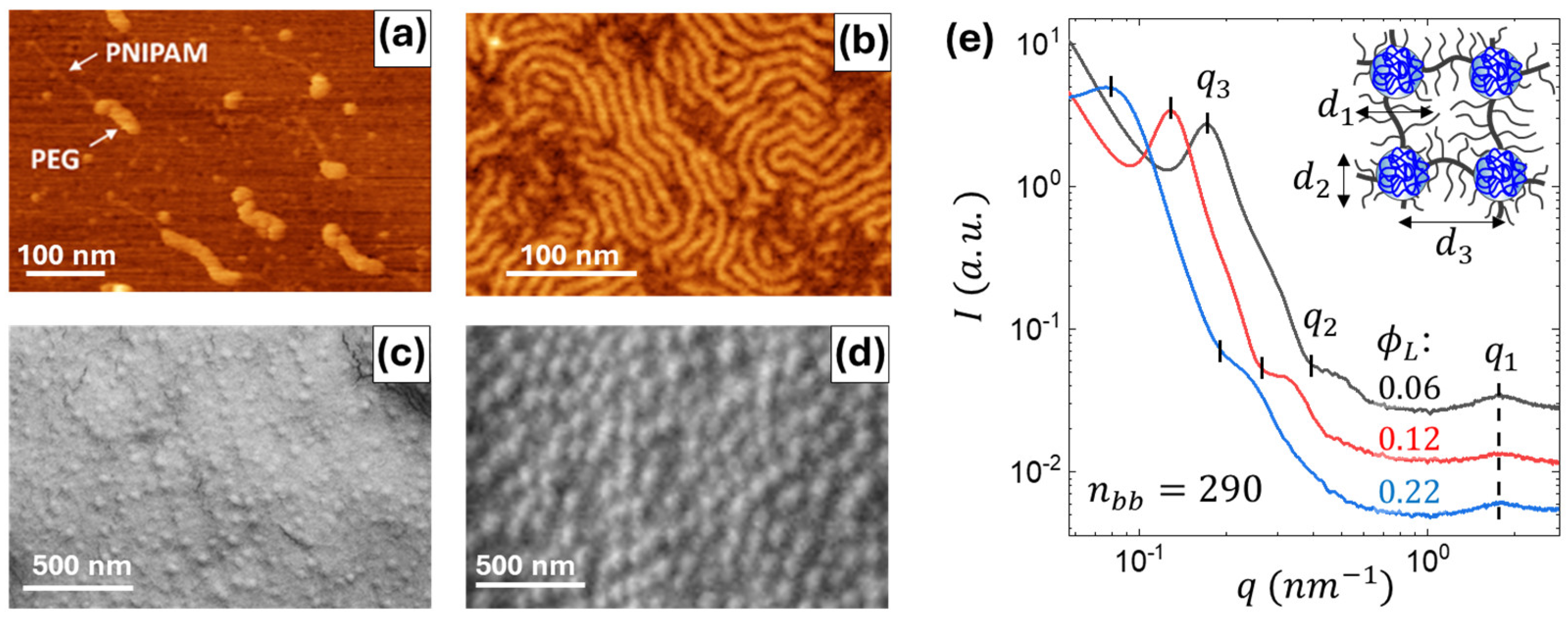 Gels 11 00996 g002 Gels 11 00996 g002