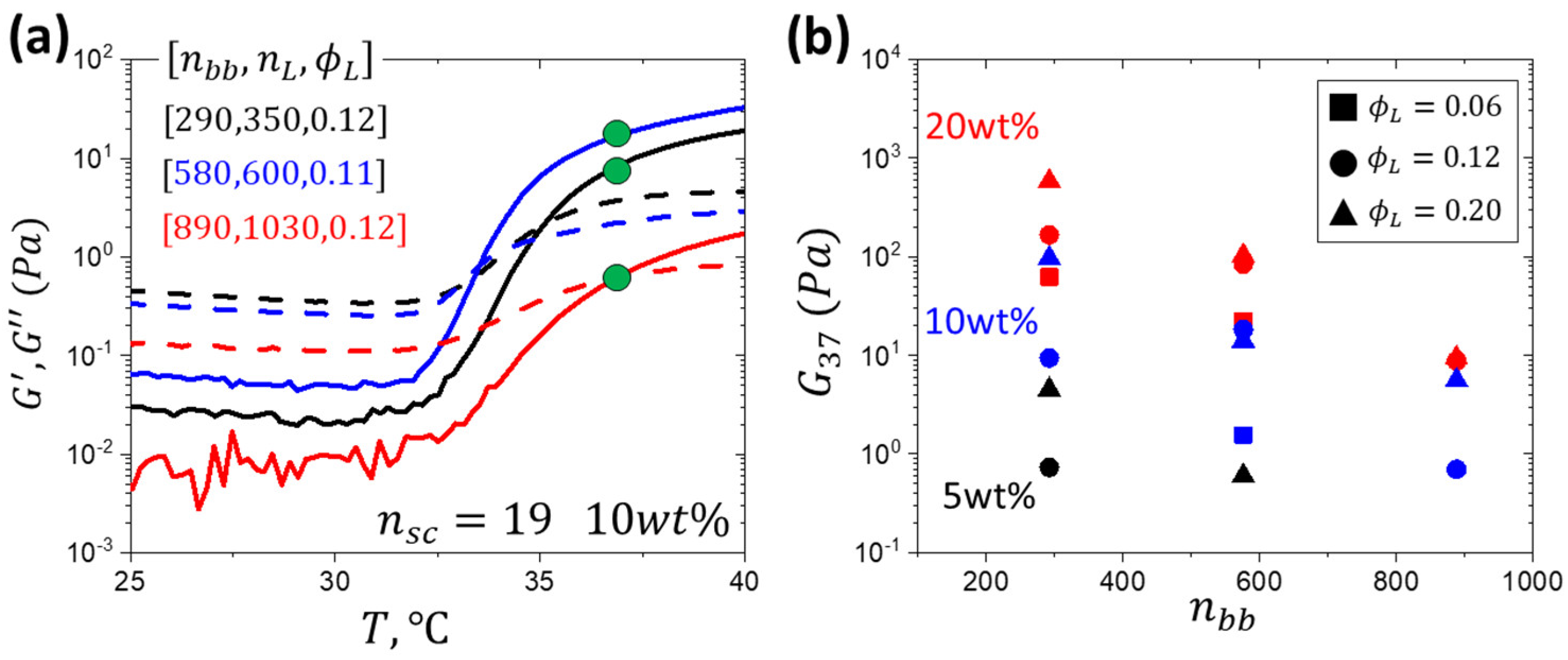 Gels 11 00996 g004 Gels 11 00996 g004