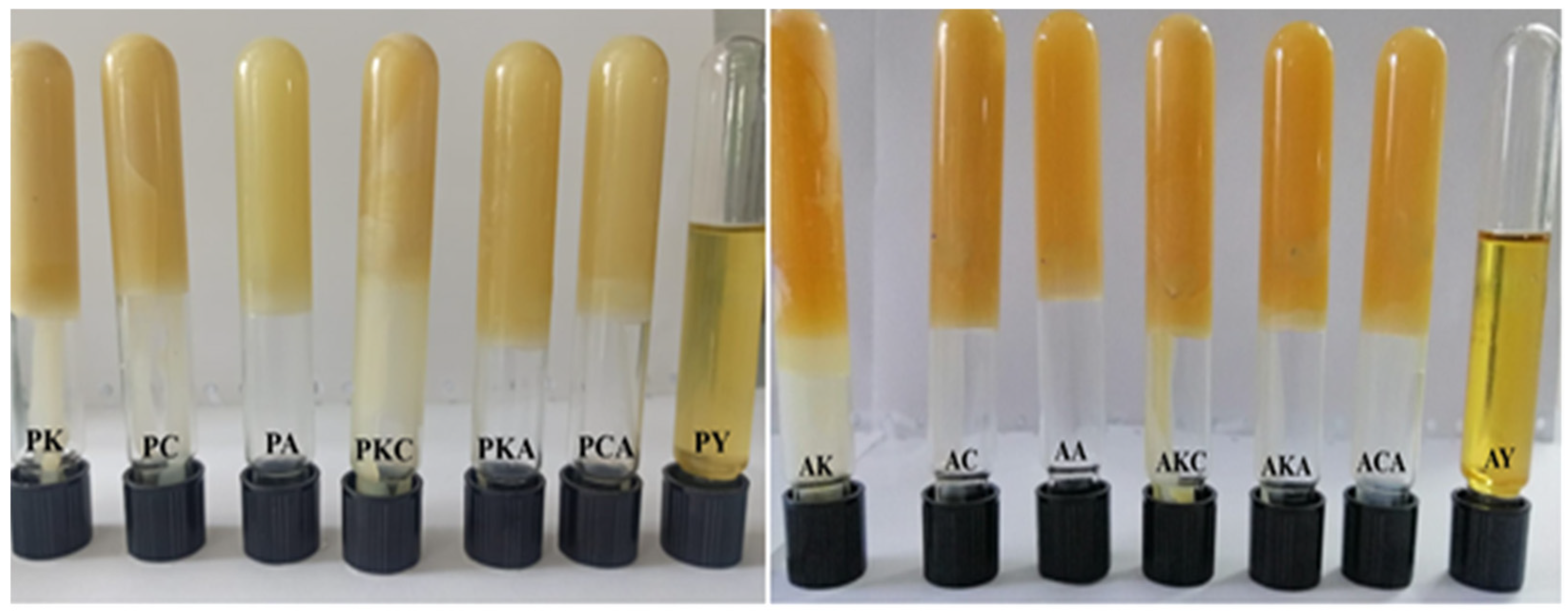 Gels 11 00997 g005 Gels 11 00997 g005