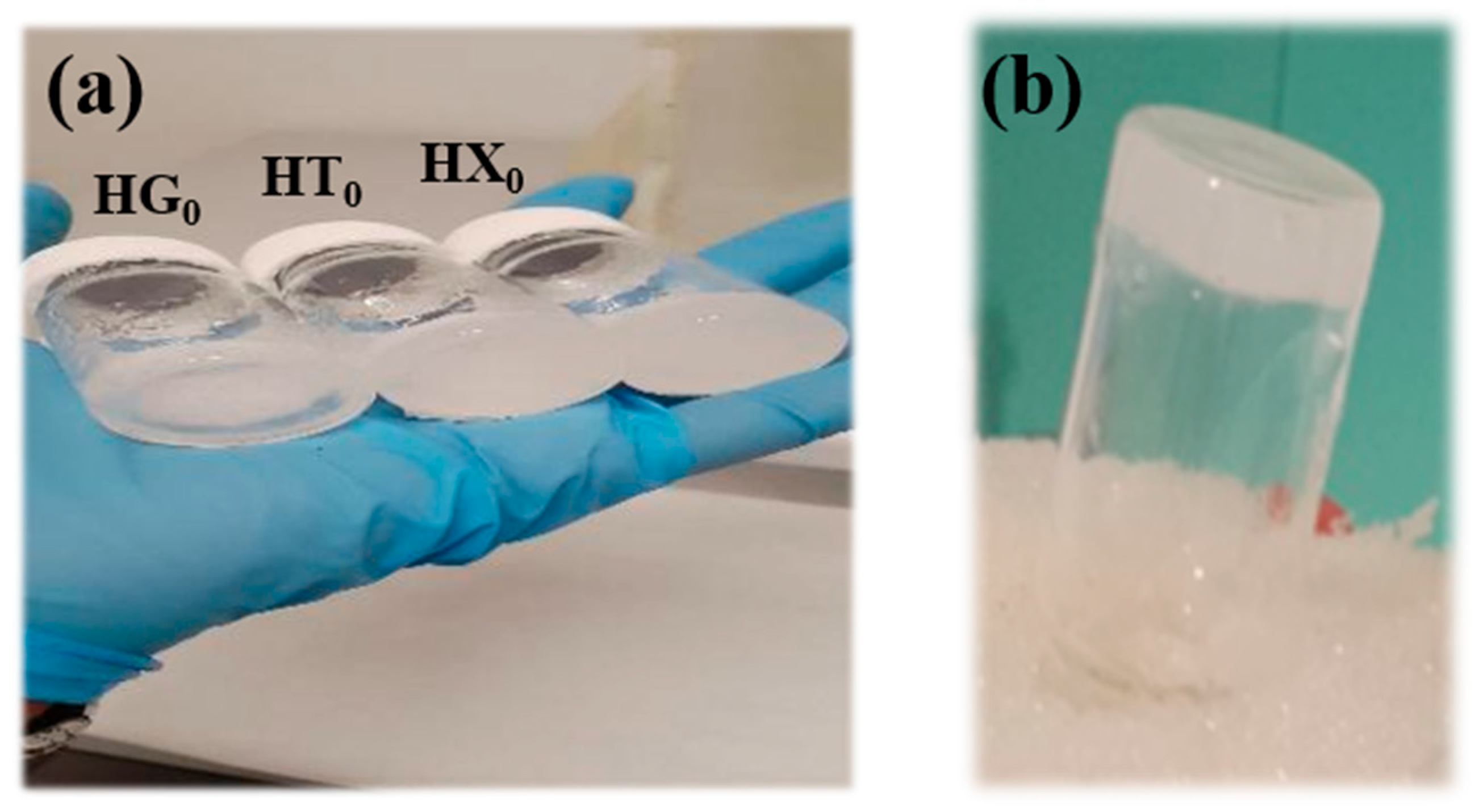 Gels 11 01005 g002 Gels 11 01005 g002