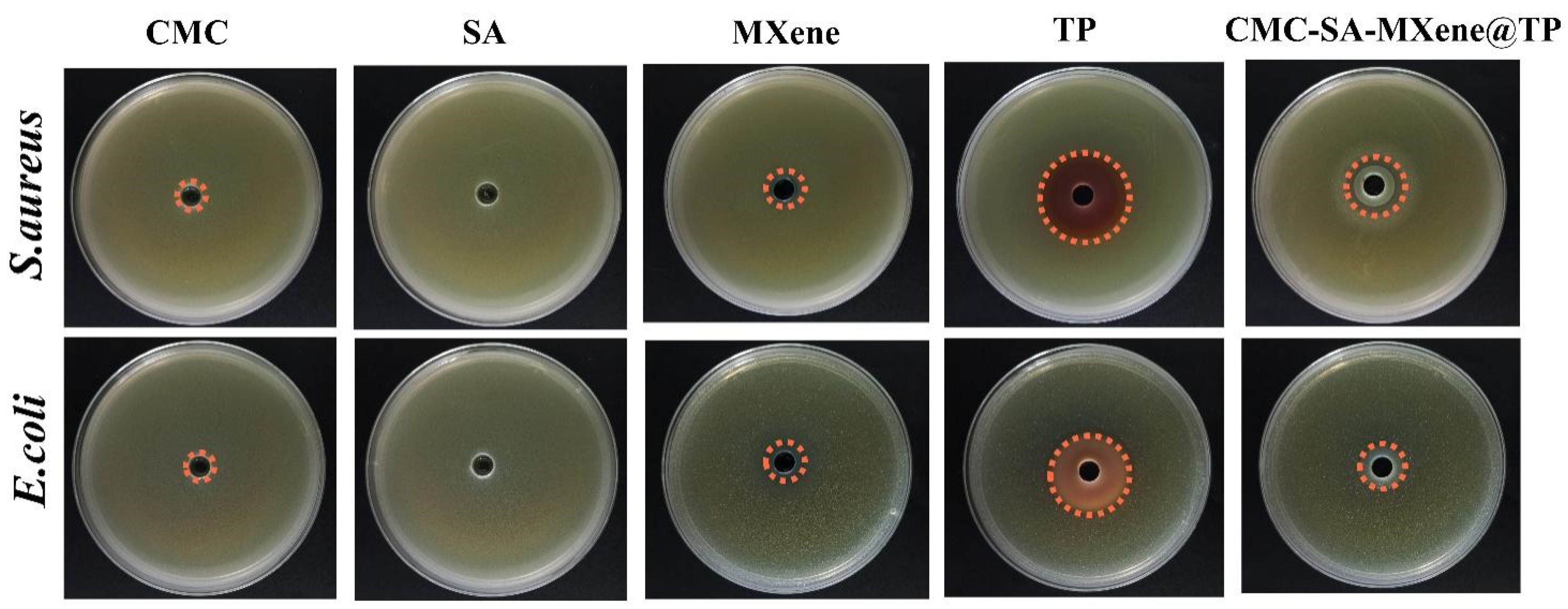 Gels 11 01009 g006 Gels 11 01009 g006