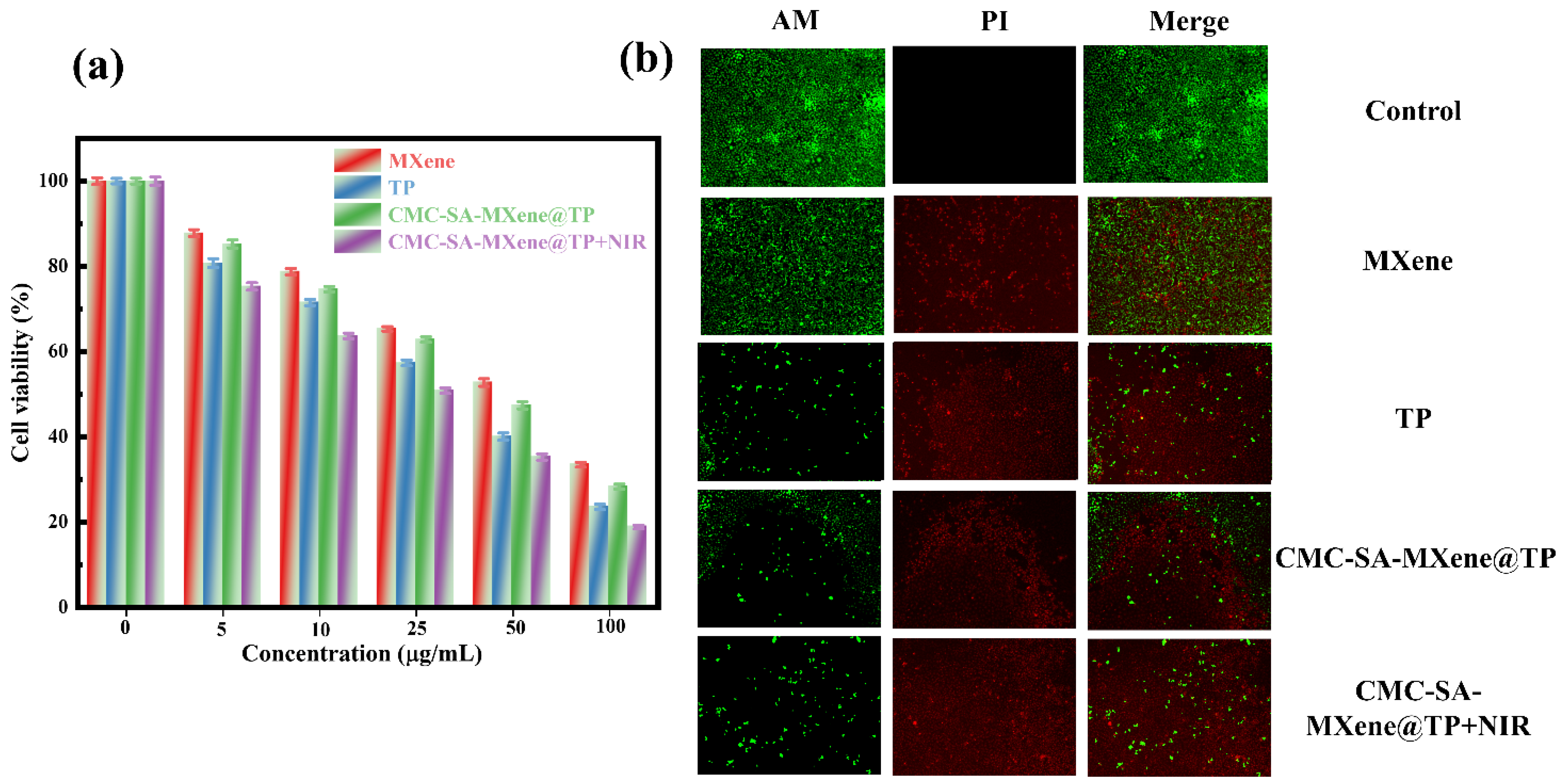 Gels 11 01009 g008 Gels 11 01009 g008