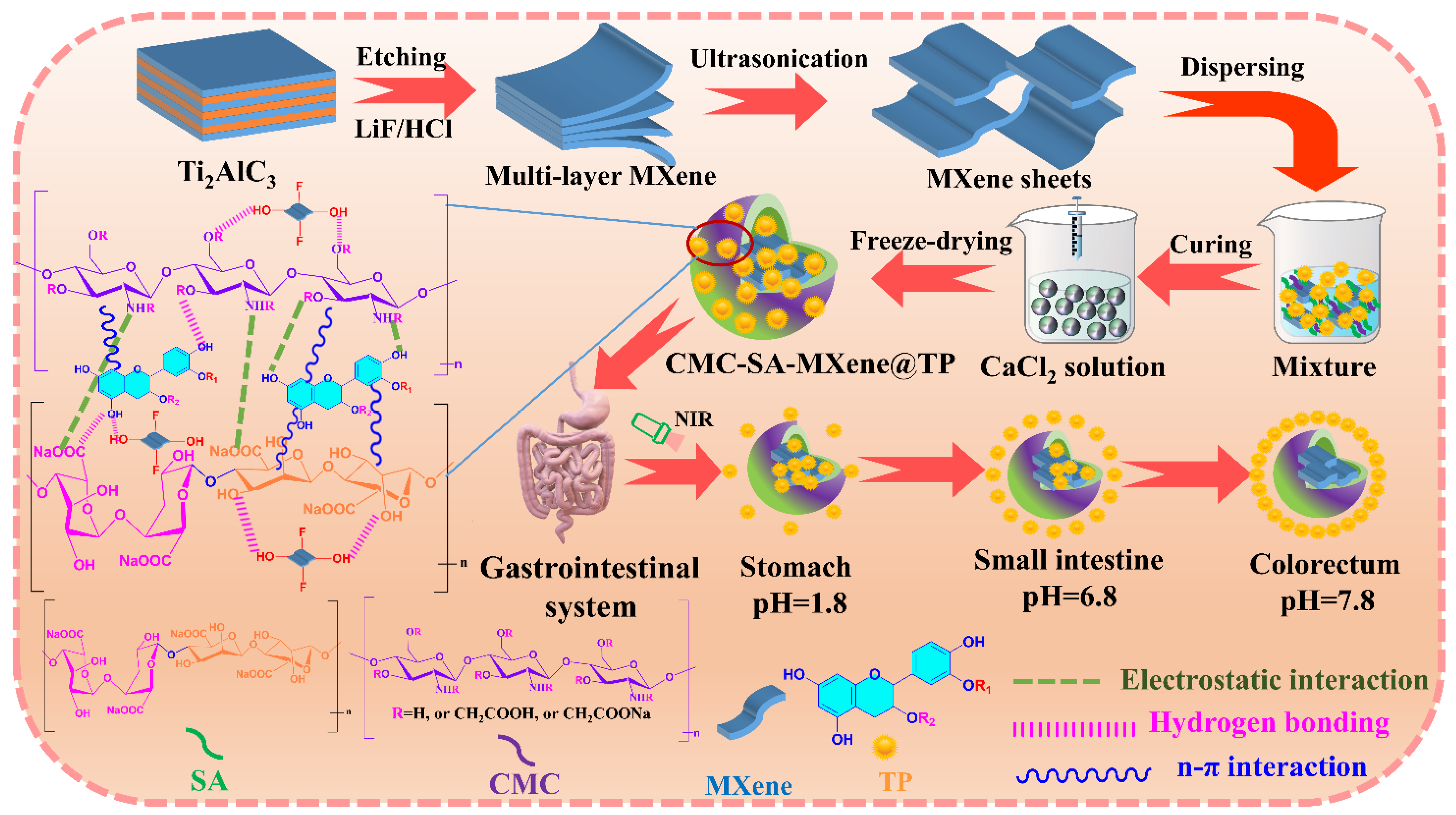 Gels 11 01009 g009 Gels 11 01009 g009