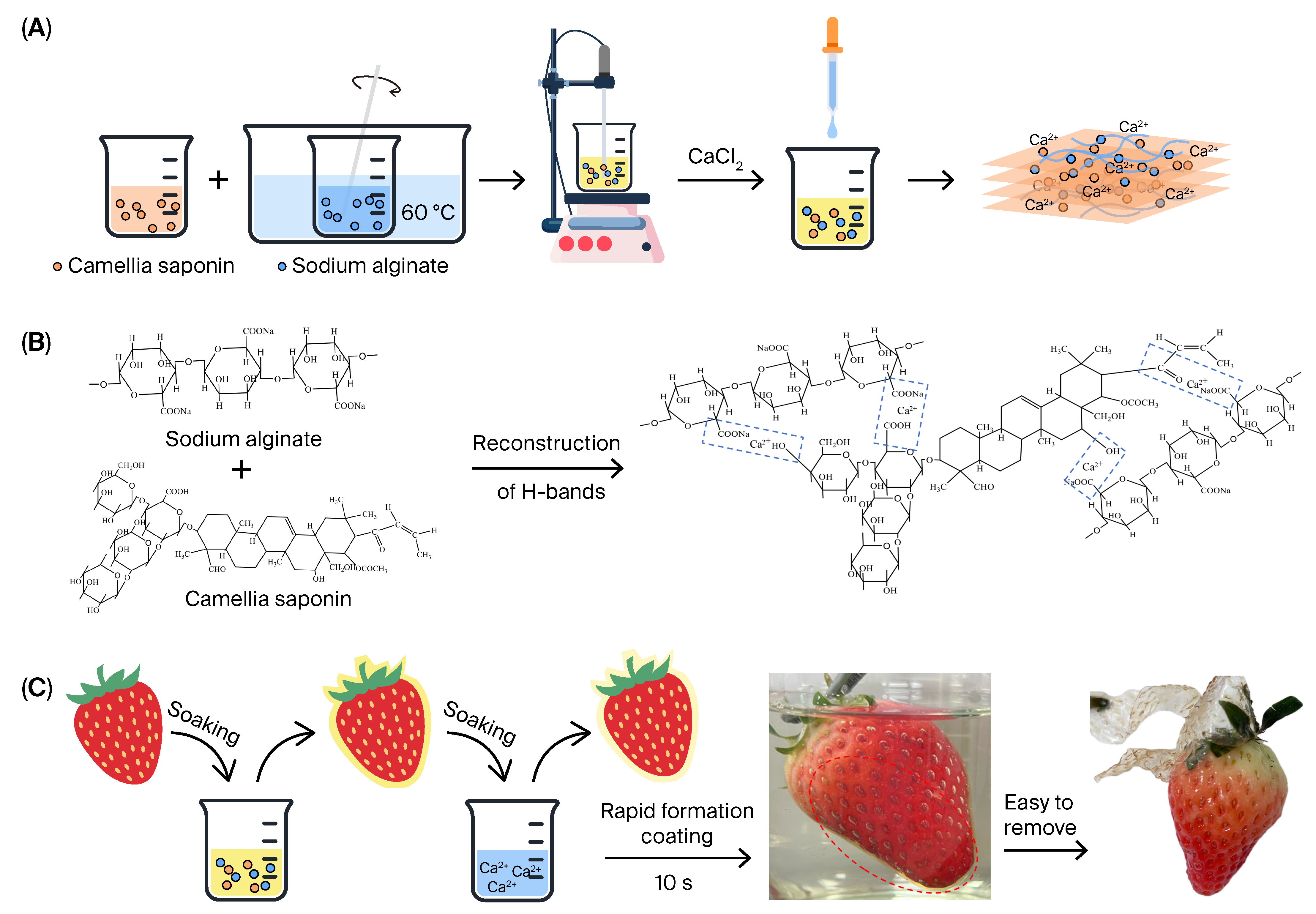 Gels 11 01012 g001 Gels 11 01012 g001