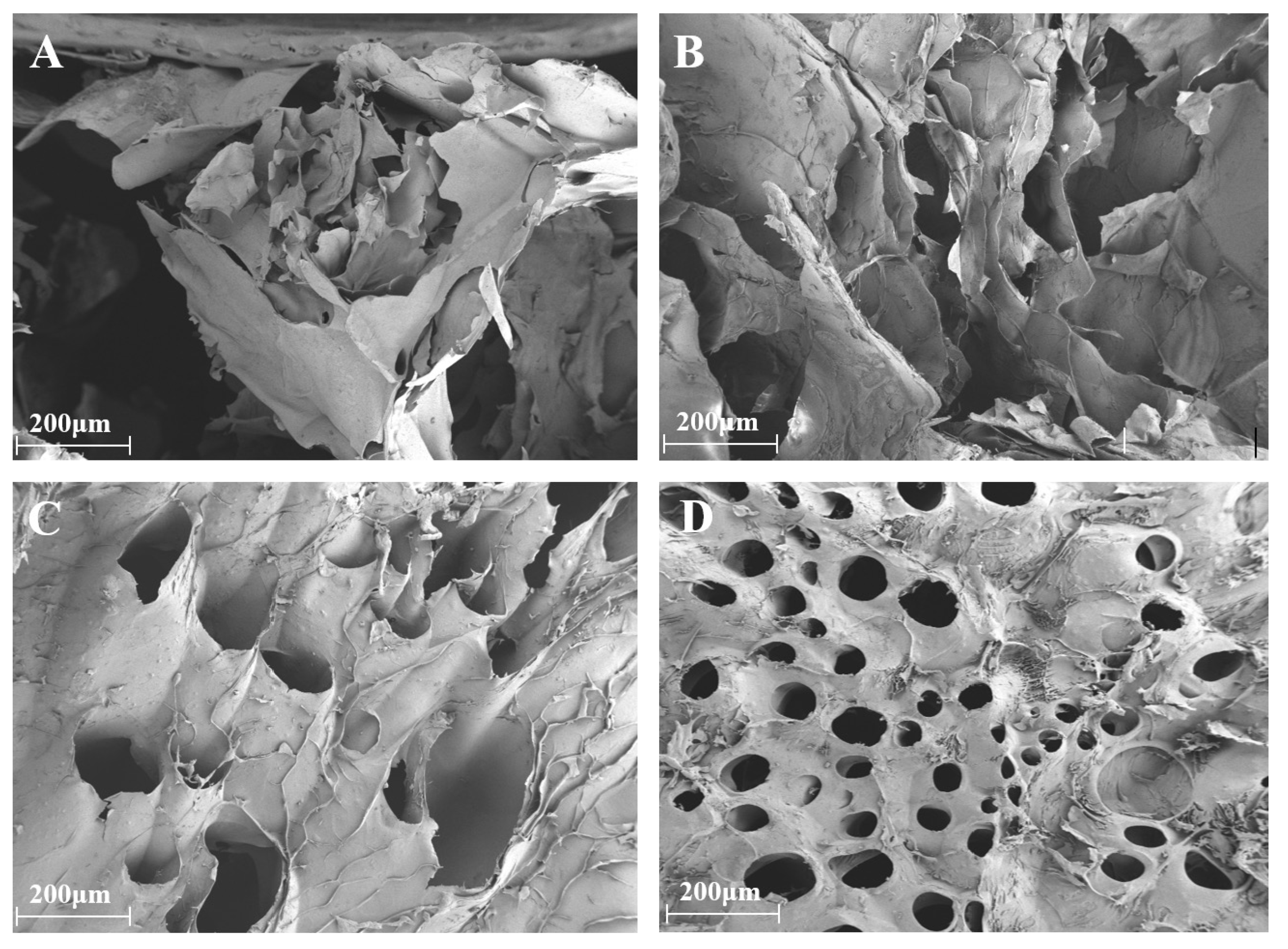 Gels 11 01012 g002 Gels 11 01012 g002