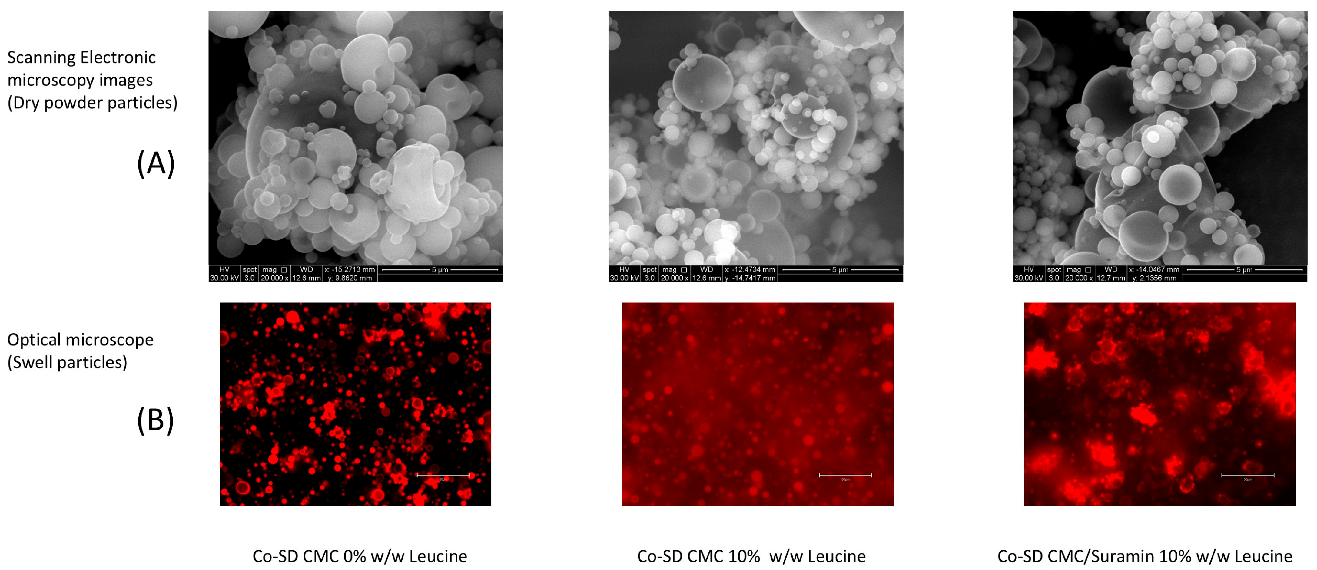 Gels 11 01015 g001 Gels 11 01015 g001