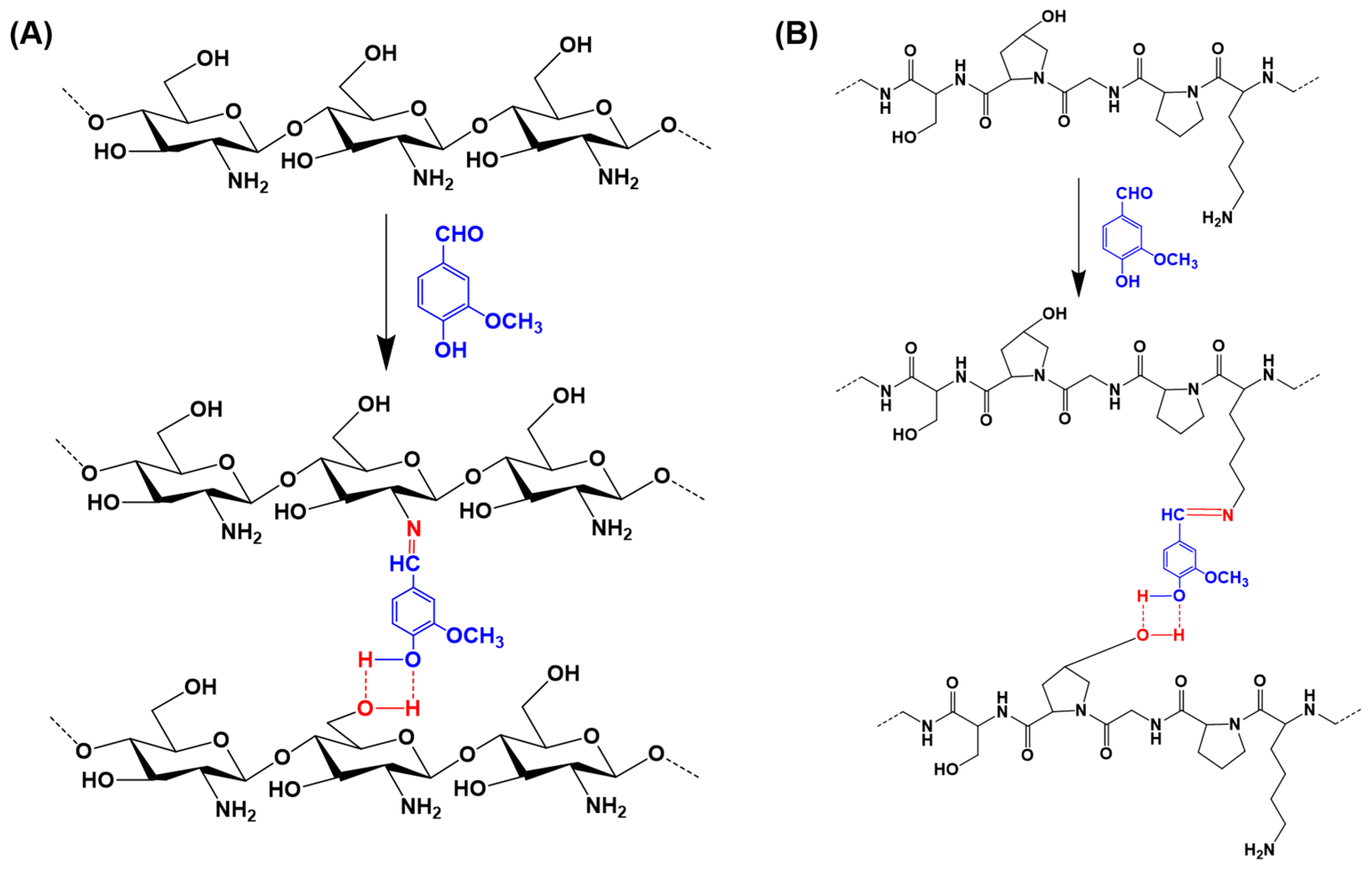 Gels 12 00016 sch001