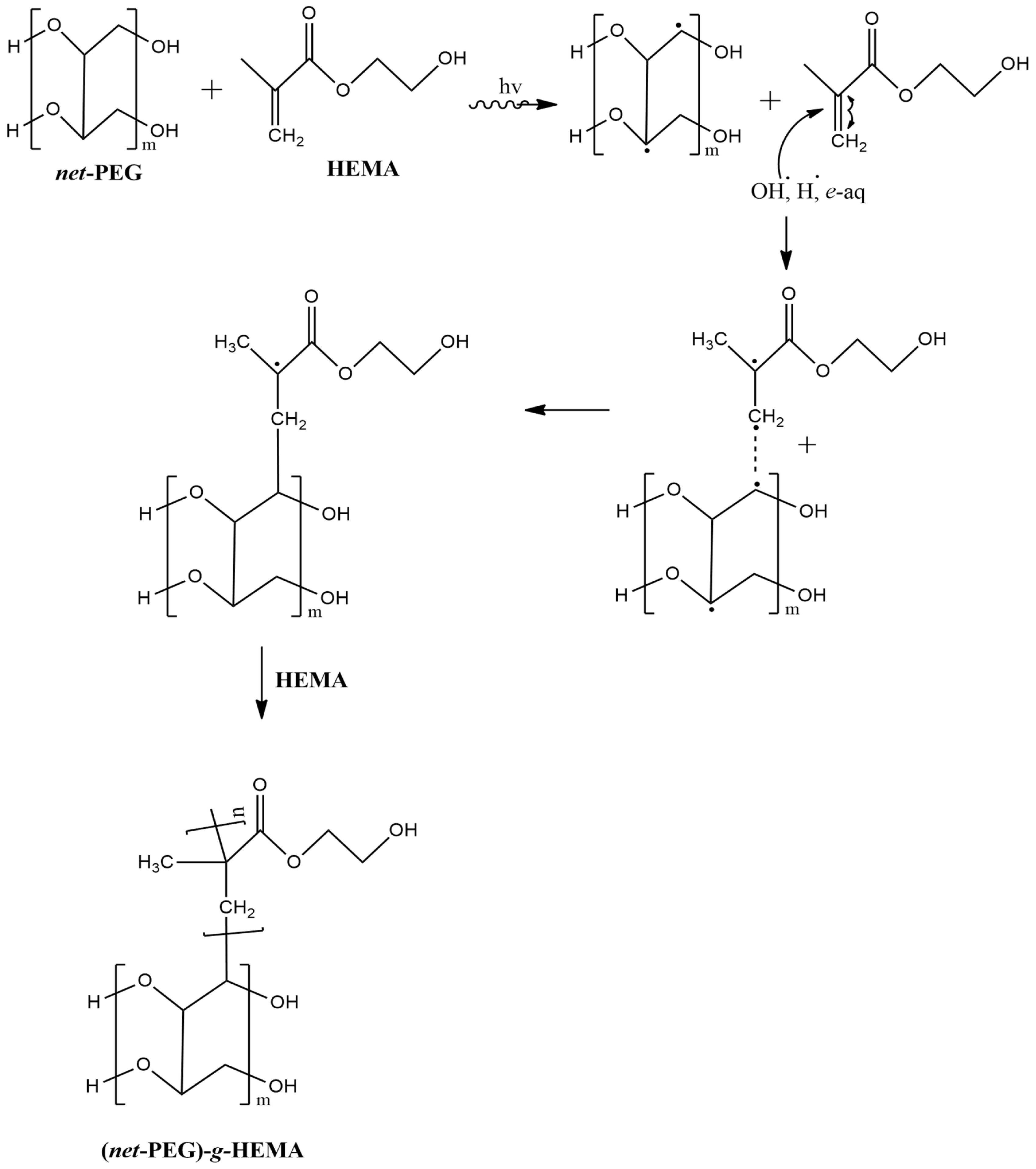 Gels 12 00032 sch001 Gels 12 00032 sch001