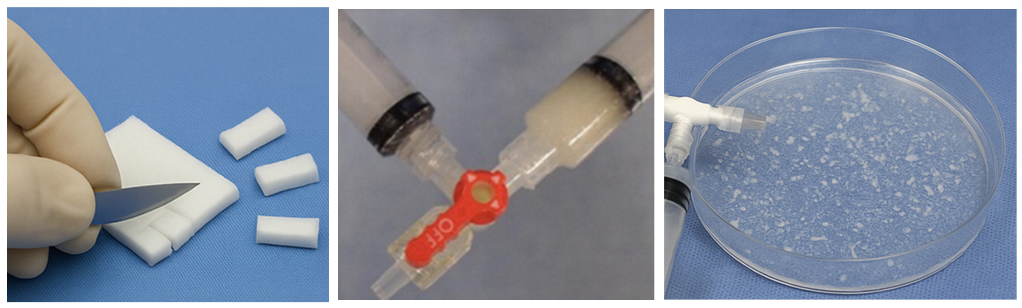 Gels 12 00044 g002 Gels 12 00044 g002