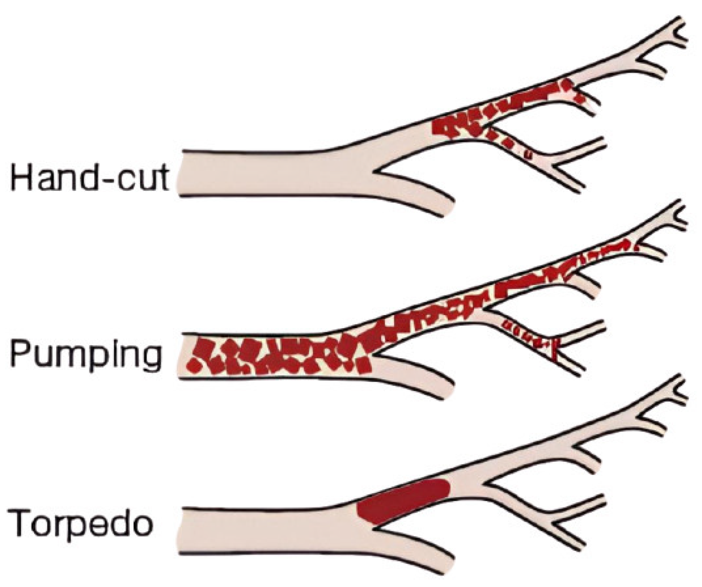 Gels 12 00044 g004 Gels 12 00044 g004