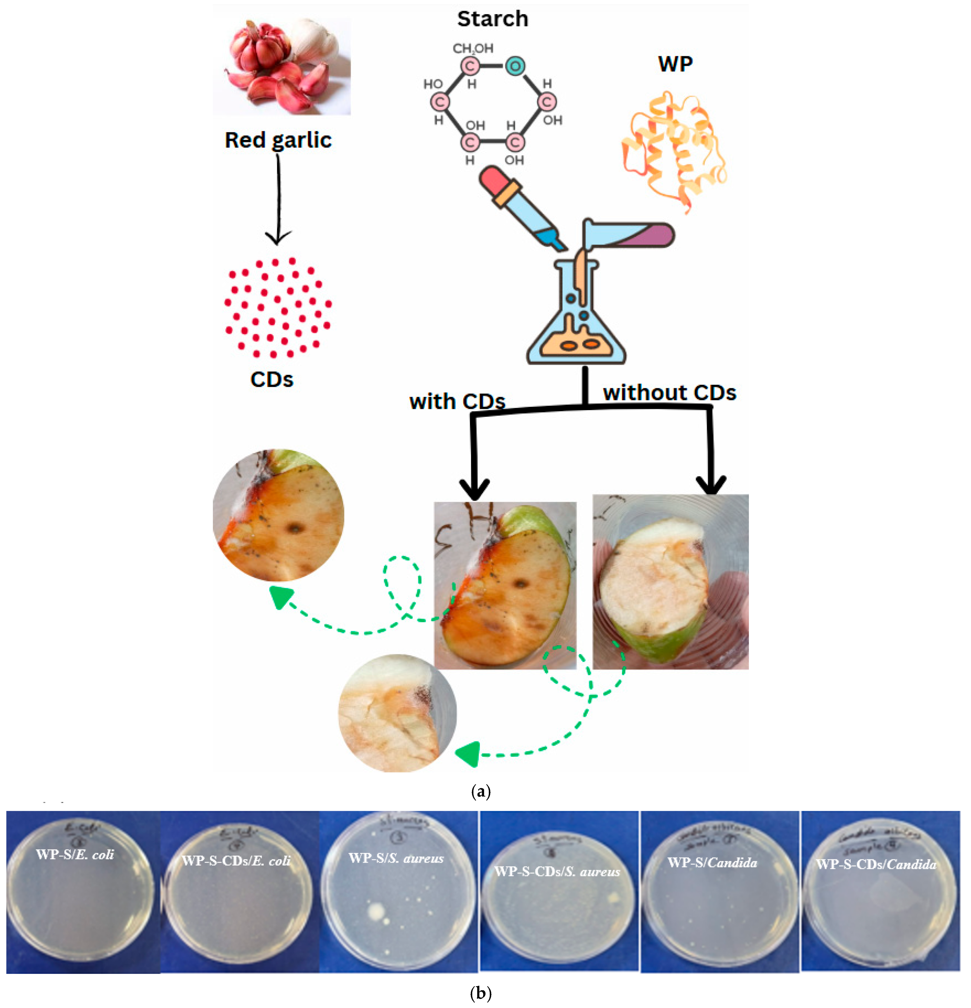 Gels 12 00047 g003 Gels 12 00047 g003