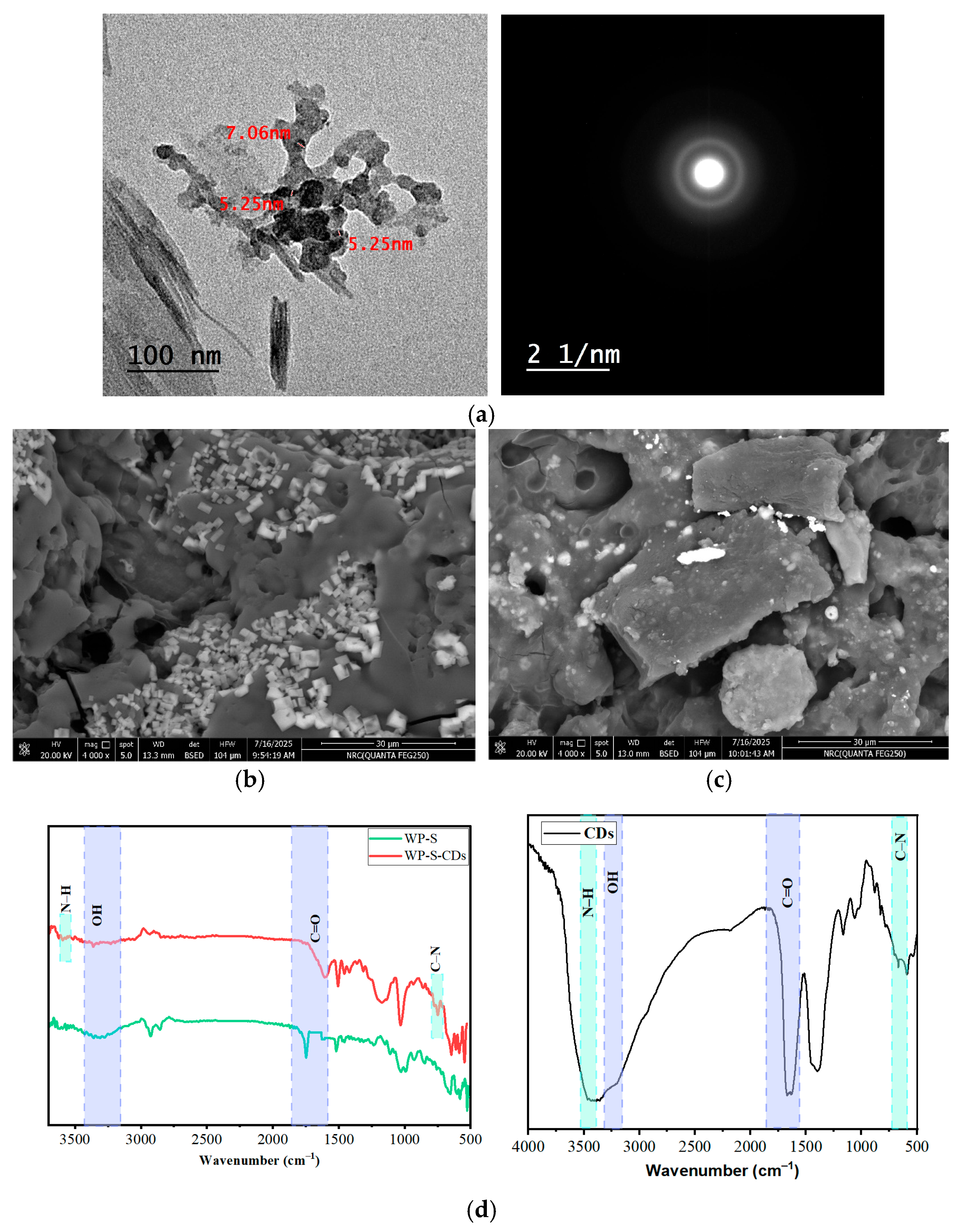 Gels 12 00047 g005 Gels 12 00047 g005