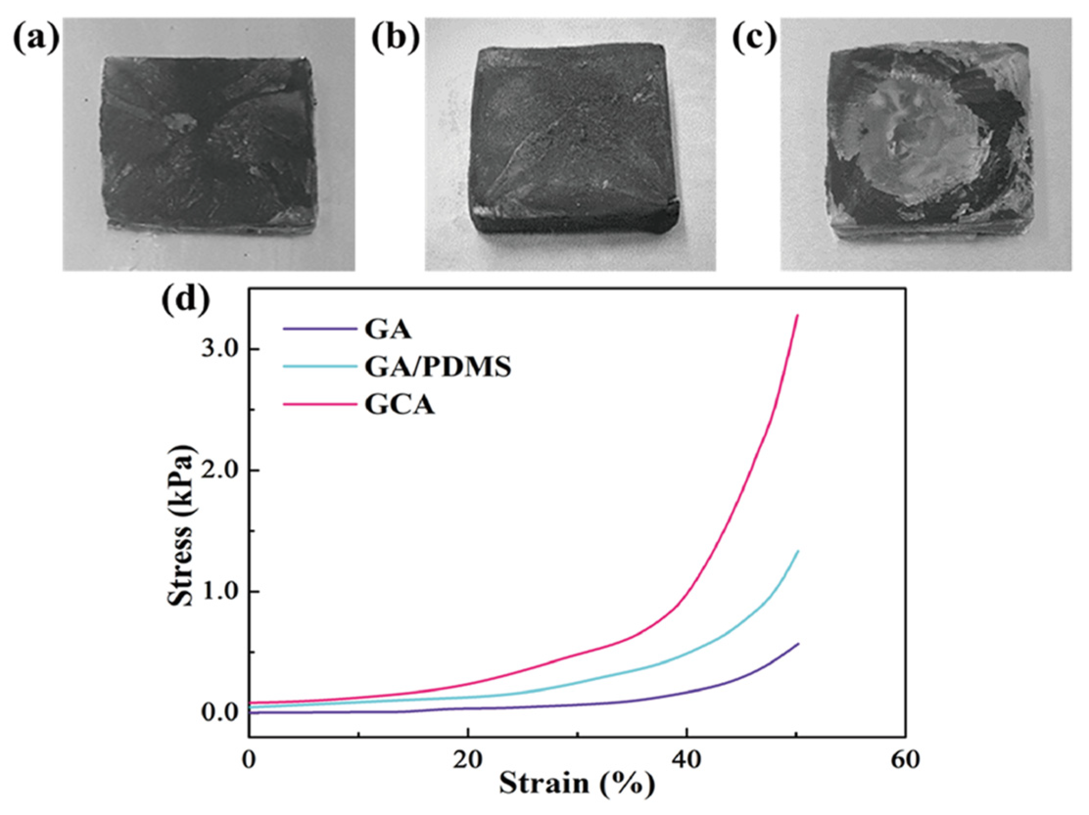 Gels 12 00059 g003 Gels 12 00059 g003