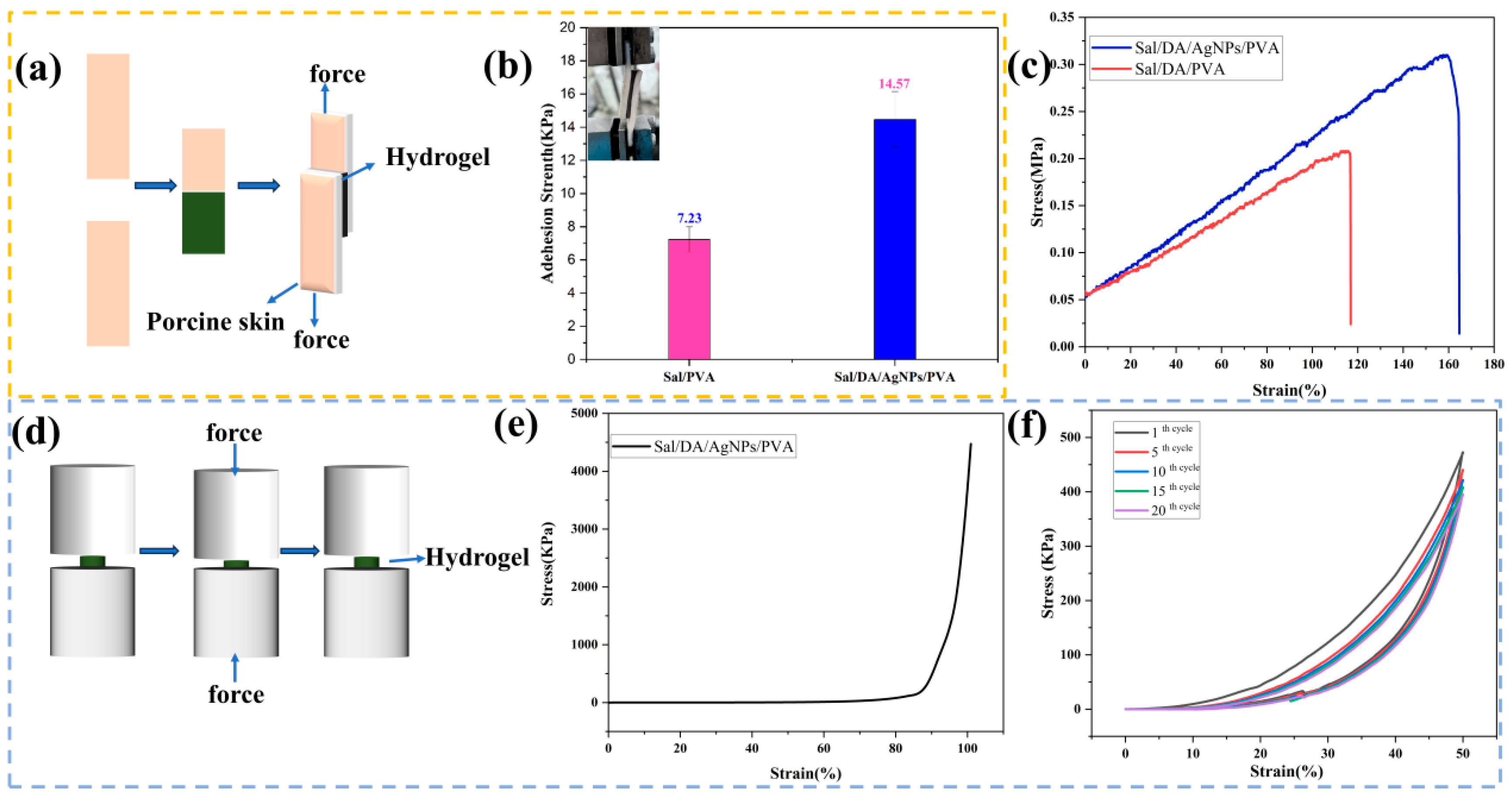 Gels 12 00060 g004 Gels 12 00060 g004