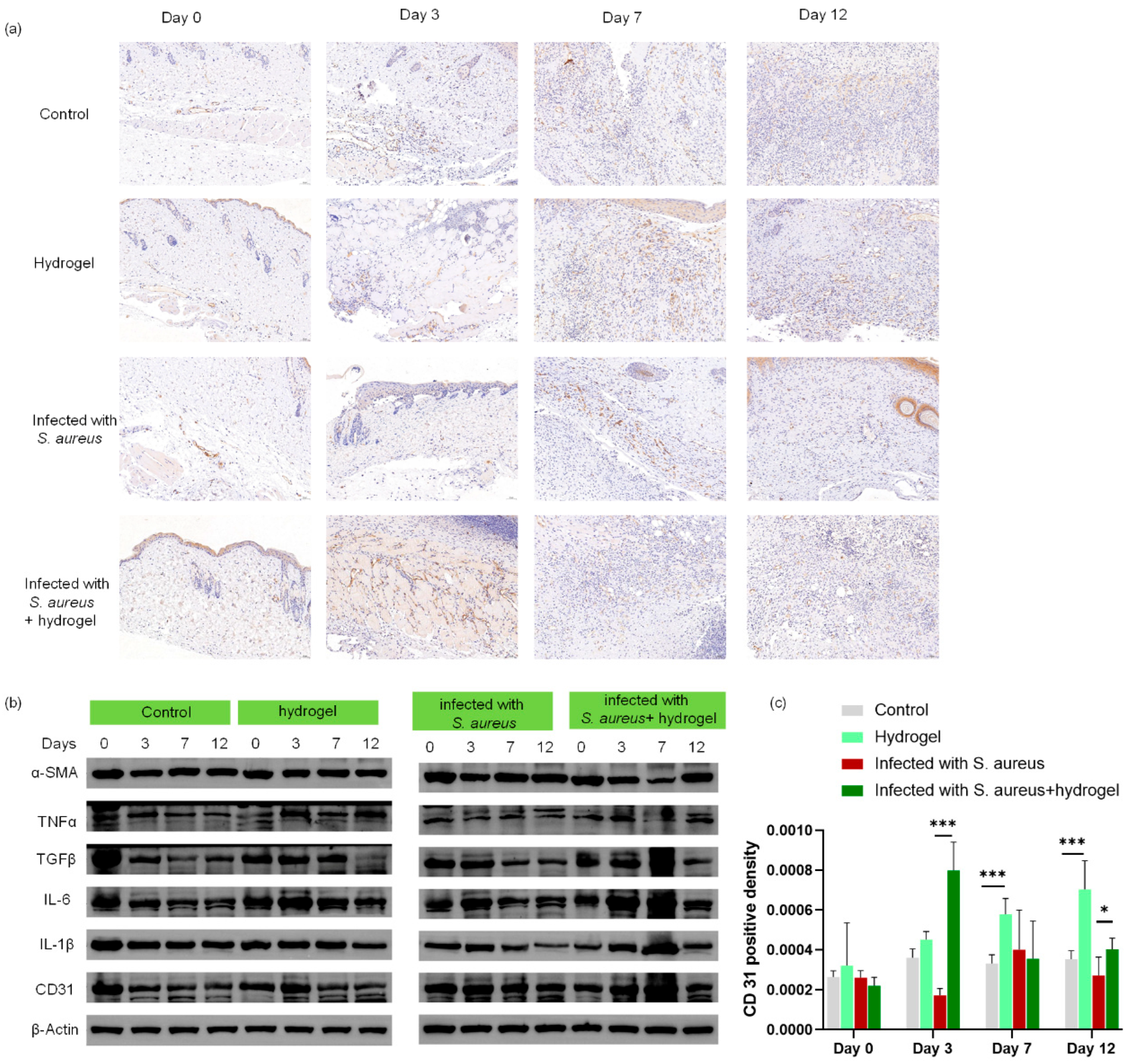 Gels 12 00060 g008 Gels 12 00060 g008