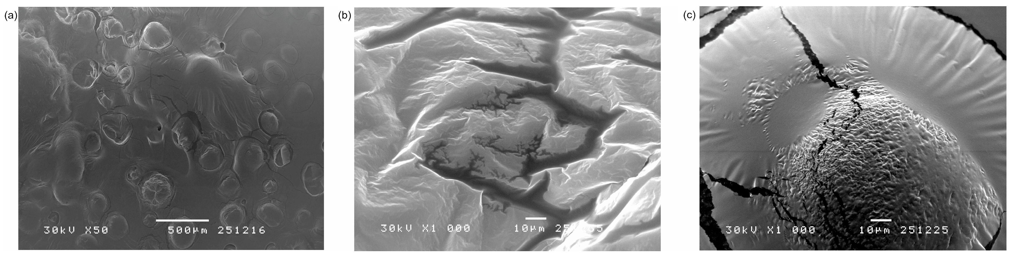 Gels 12 00077 g005