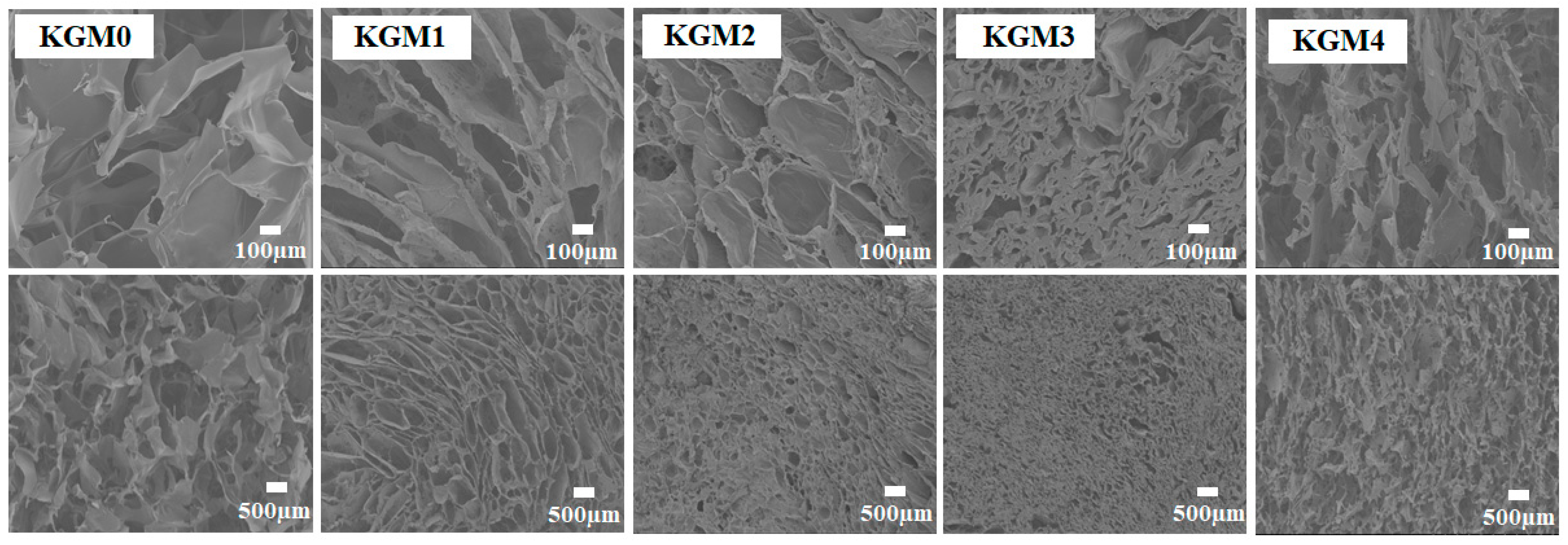 Gels 12 00083 g008