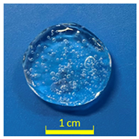 Gels 12 00097 i001
