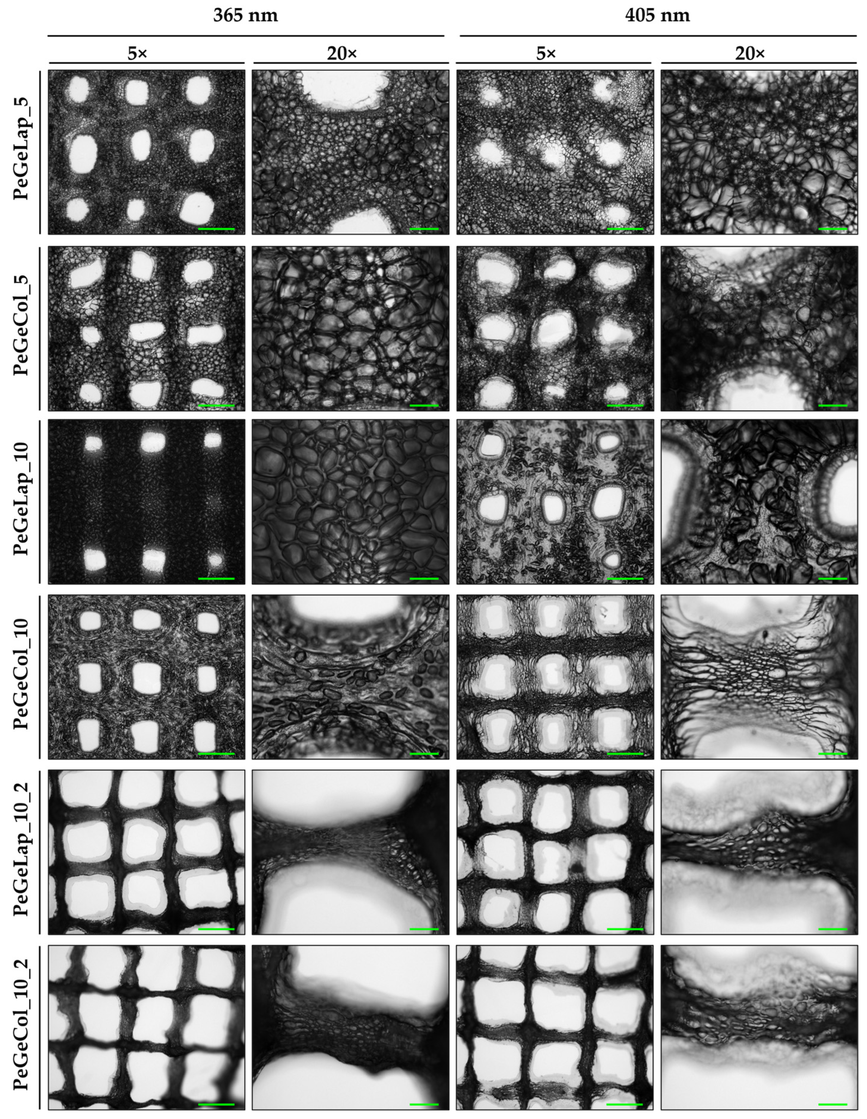 Gels 12 00137 g006