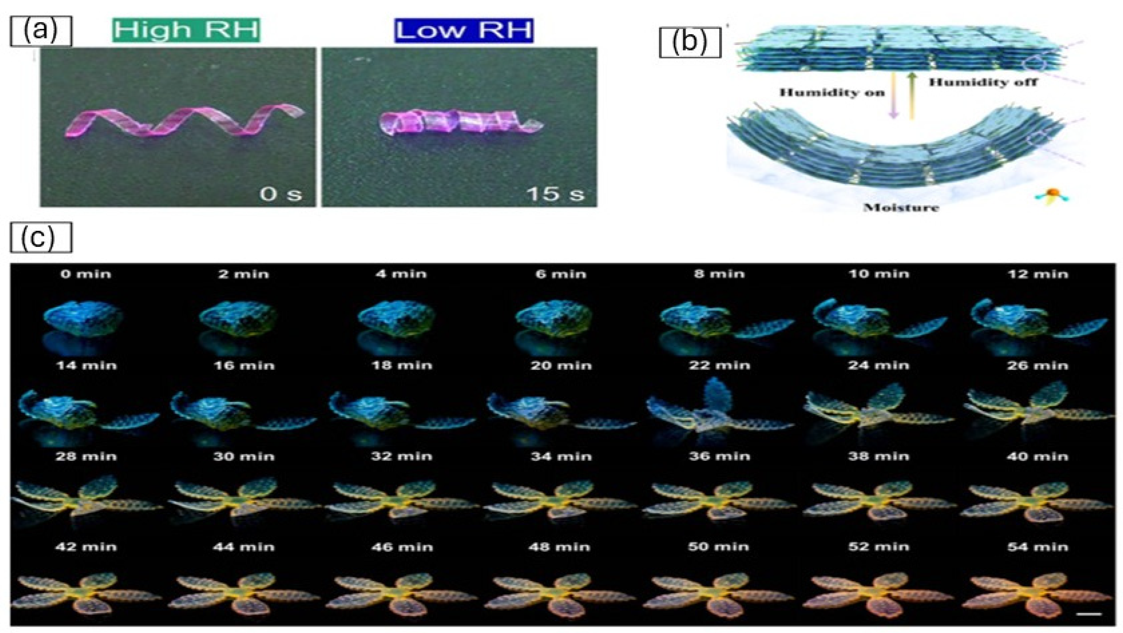 Gels 12 00138 g006