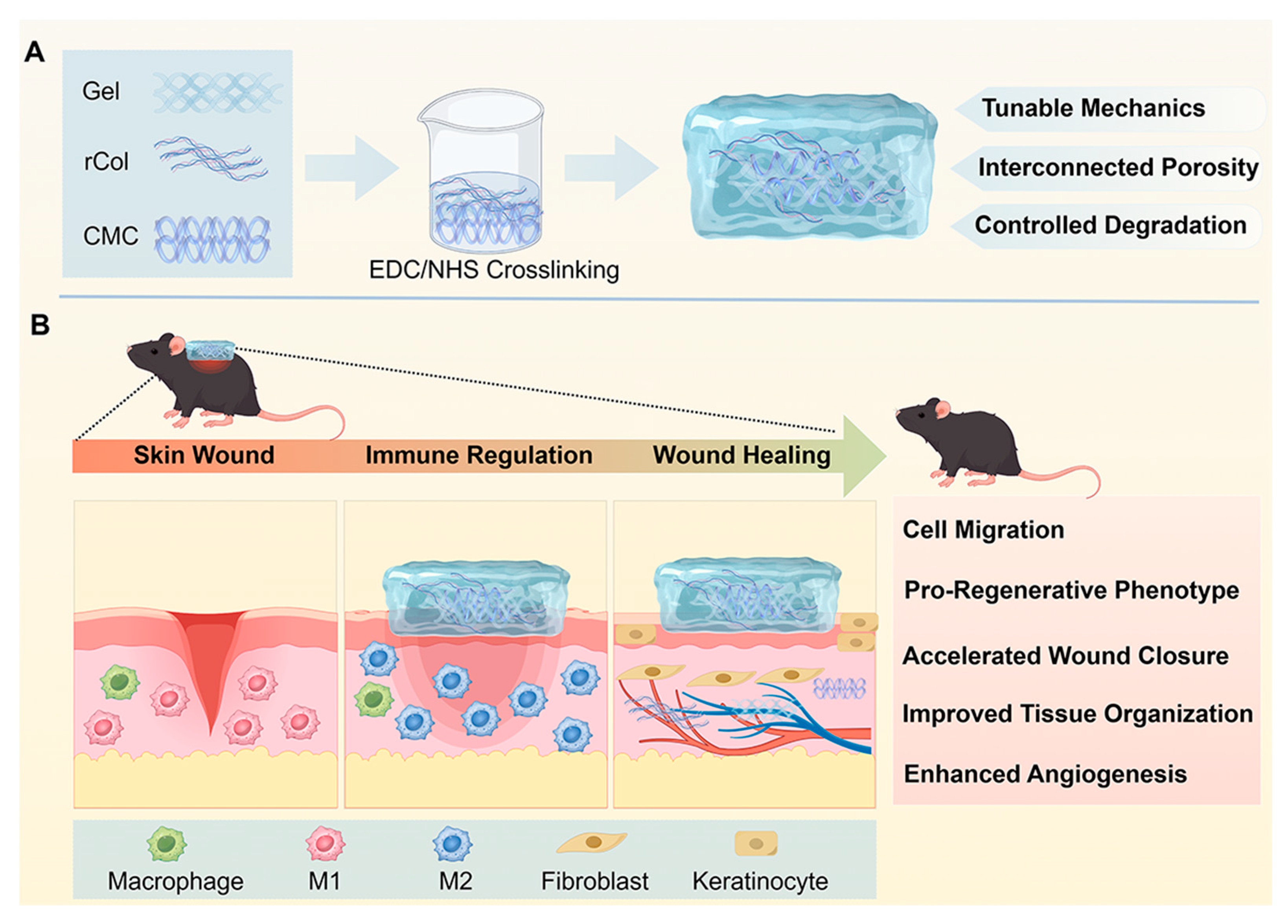 Gels 12 00142 sch001