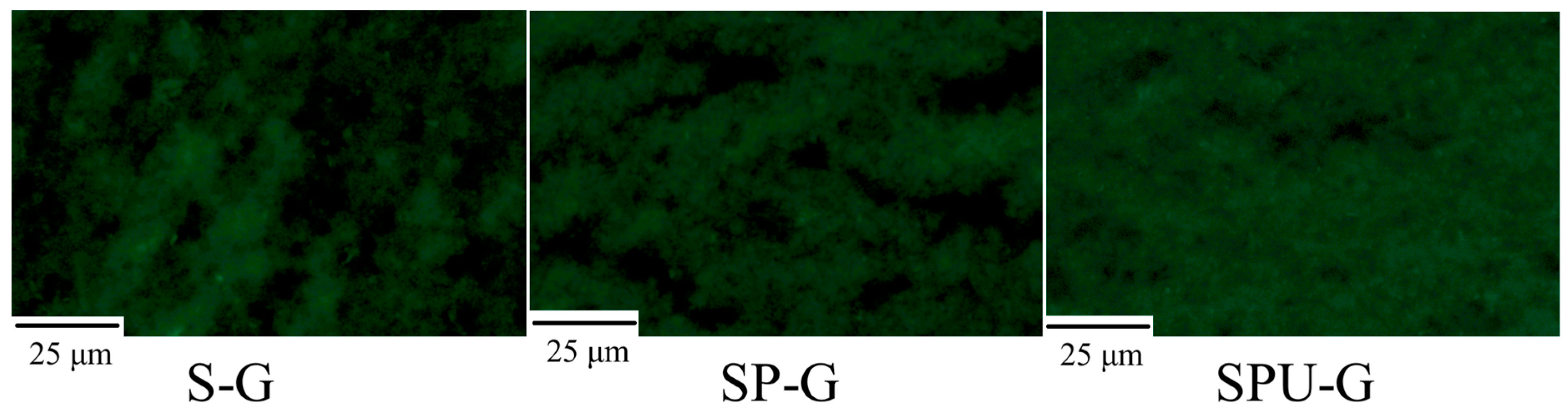Gels 12 00174 g015 Gels 12 00174 g015