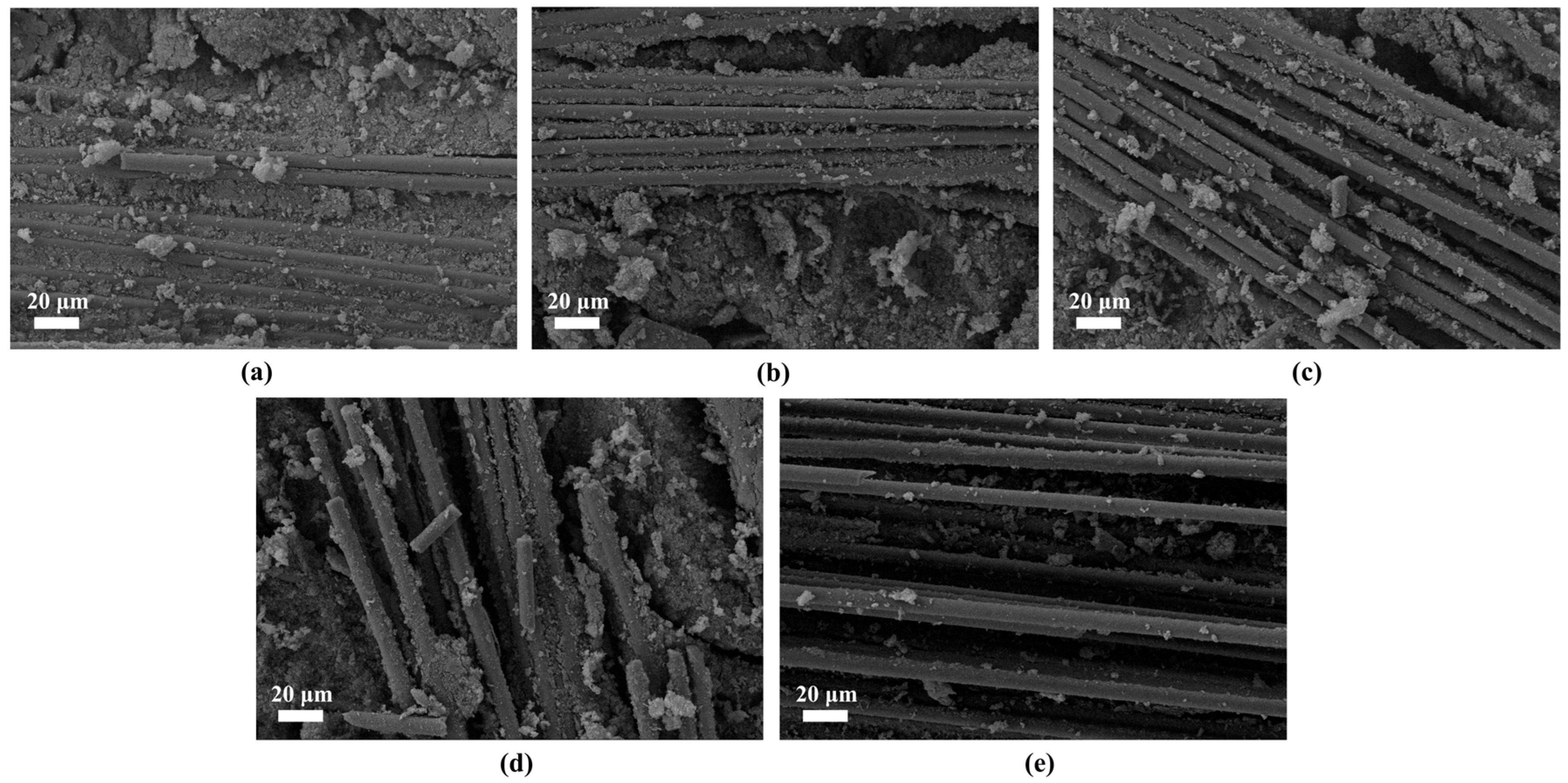 Gels 12 00177 g005