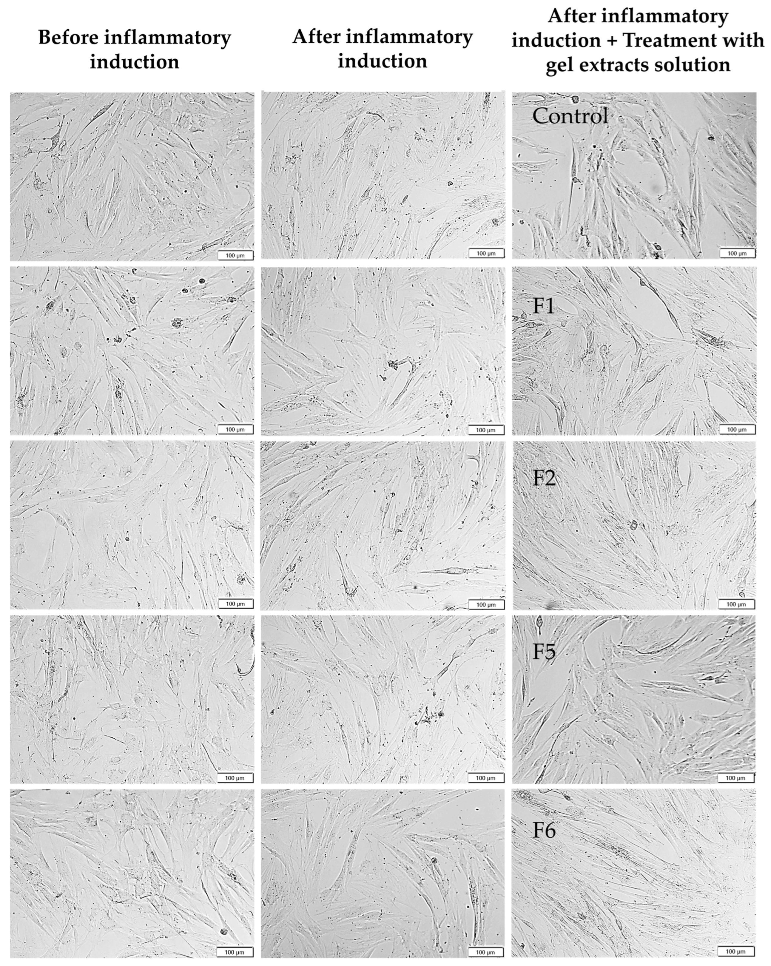 Gels 12 00188 g009 Gels 12 00188 g009