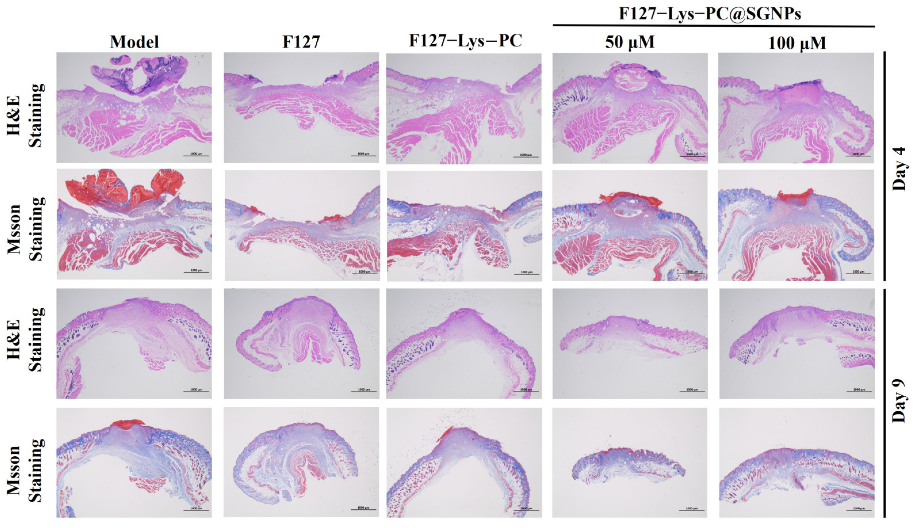 Gels 12 00191 g012