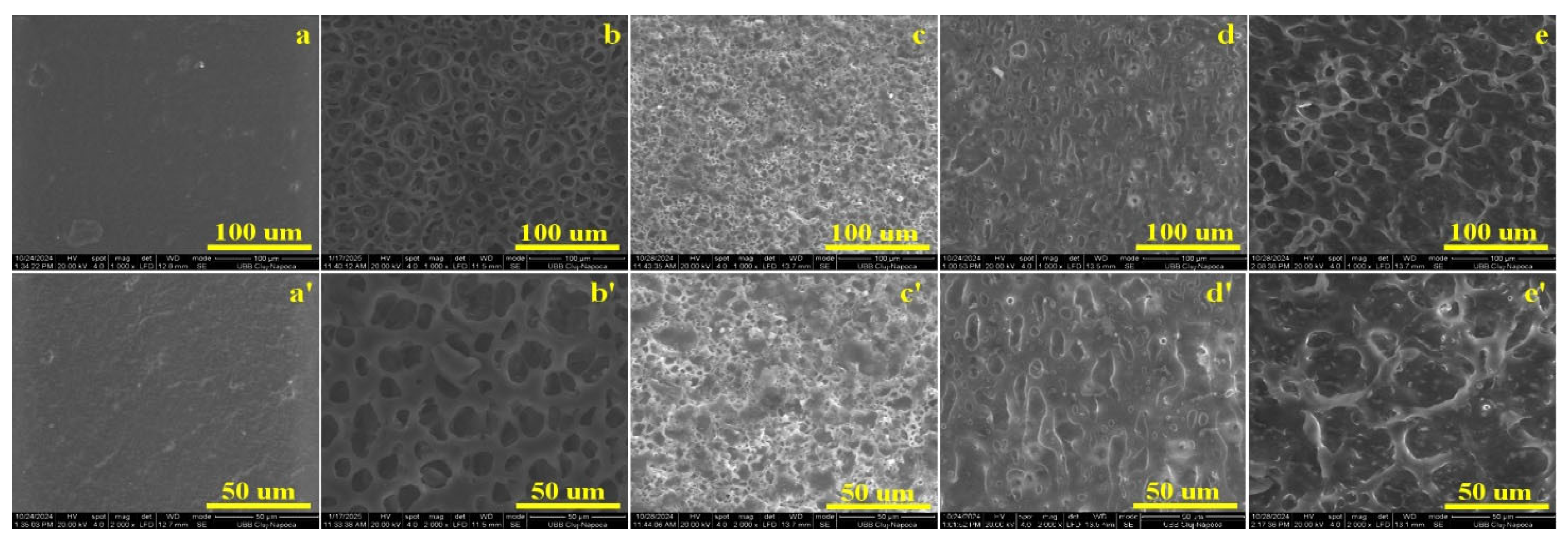 Gels 12 00194 g001