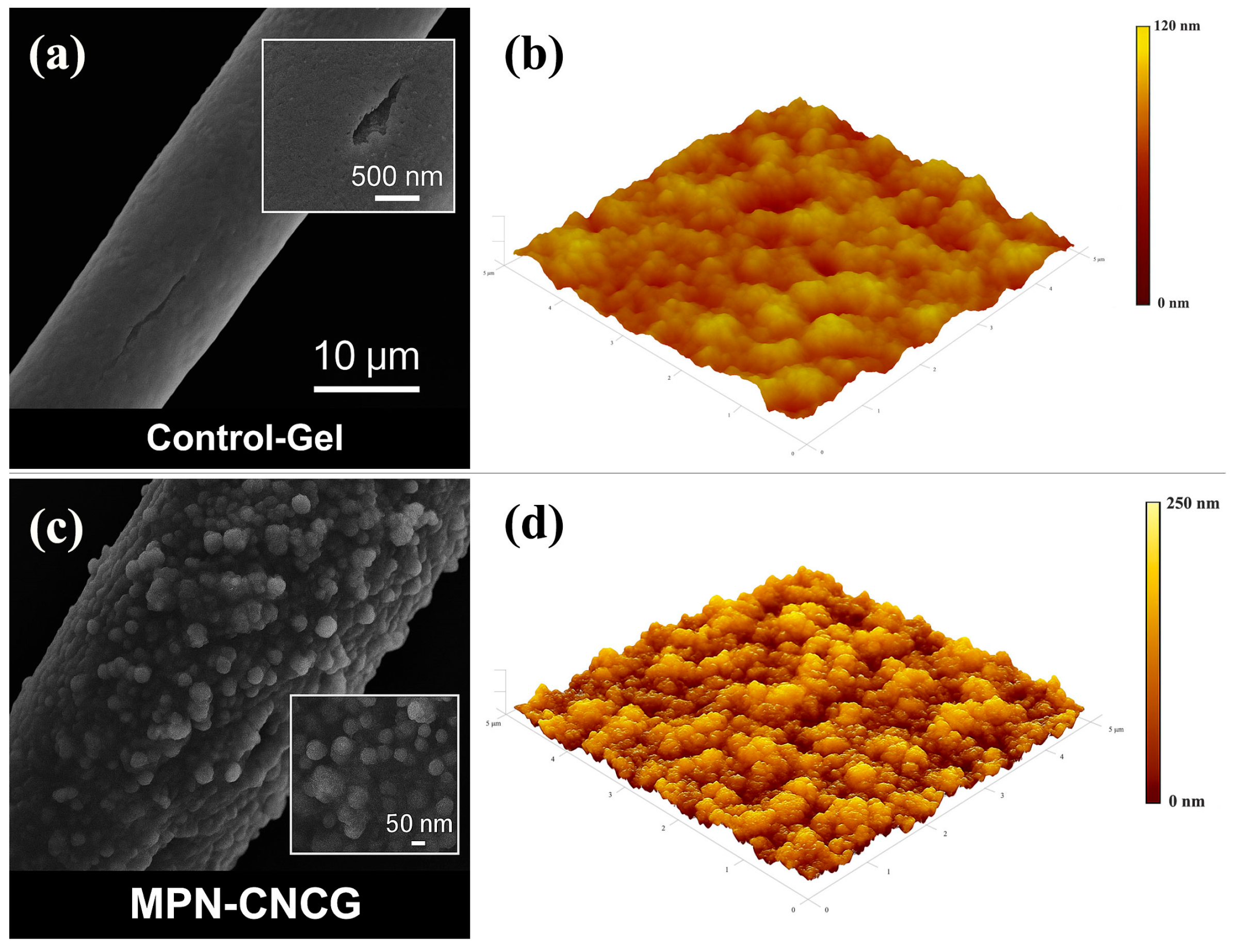 Gels 12 00237 g001
