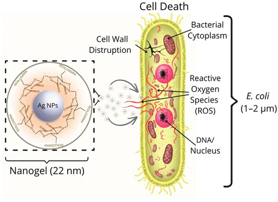 Polymeric Nanogels for Antimicrobial Therapy