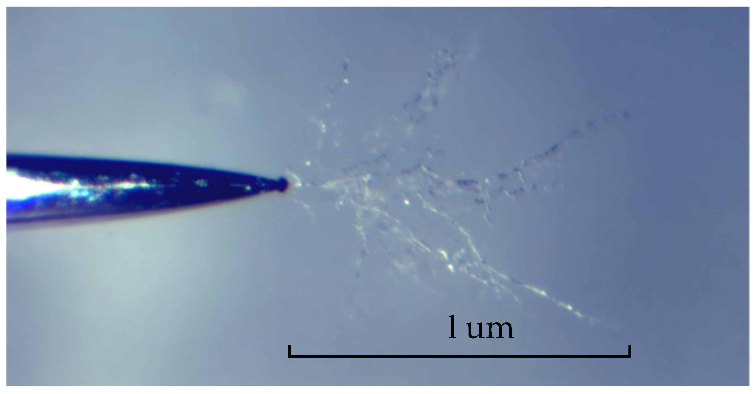 Gels 12 00274 g018