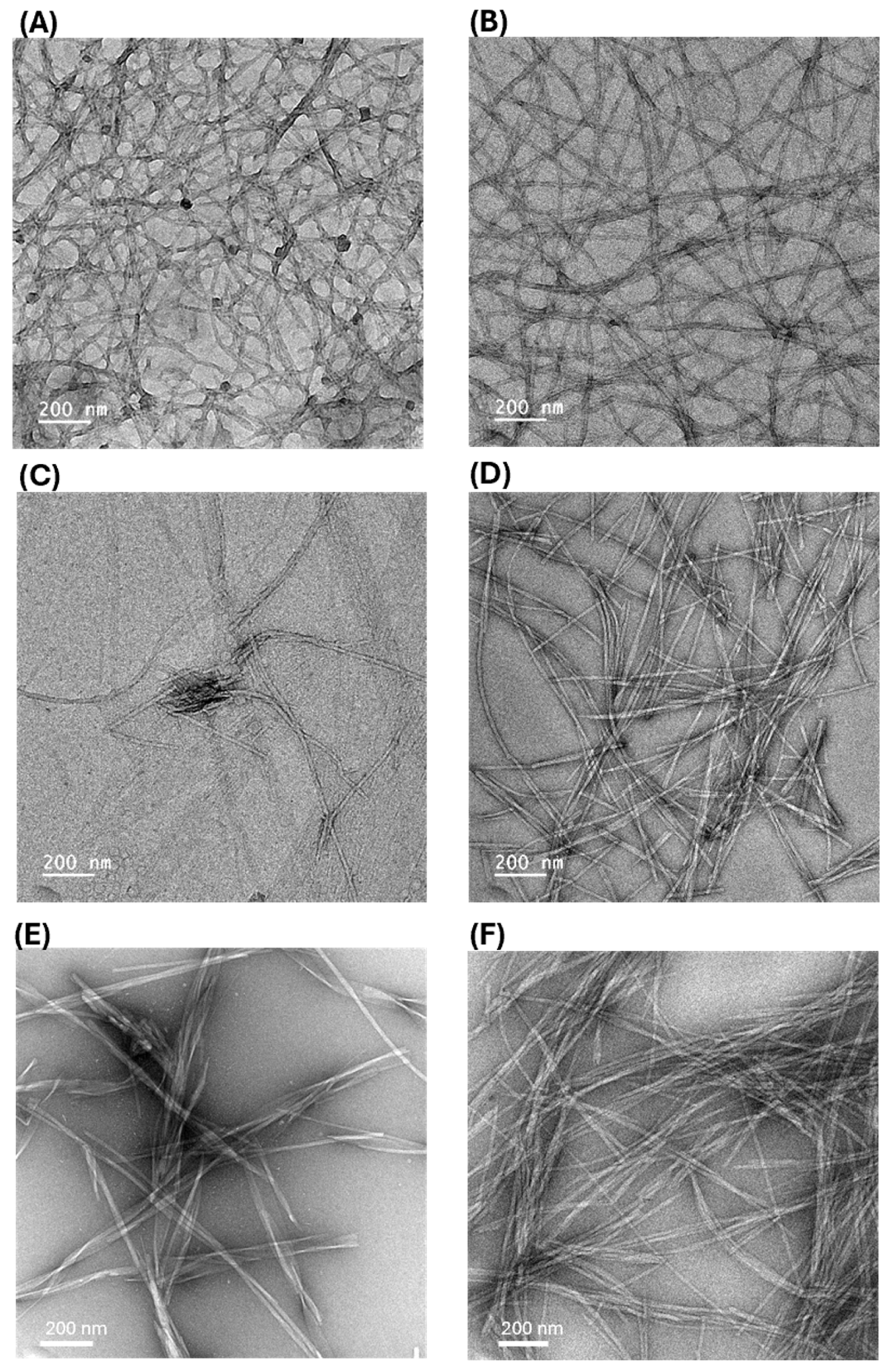 Gels 12 00299 g010 Gels 12 00299 g010