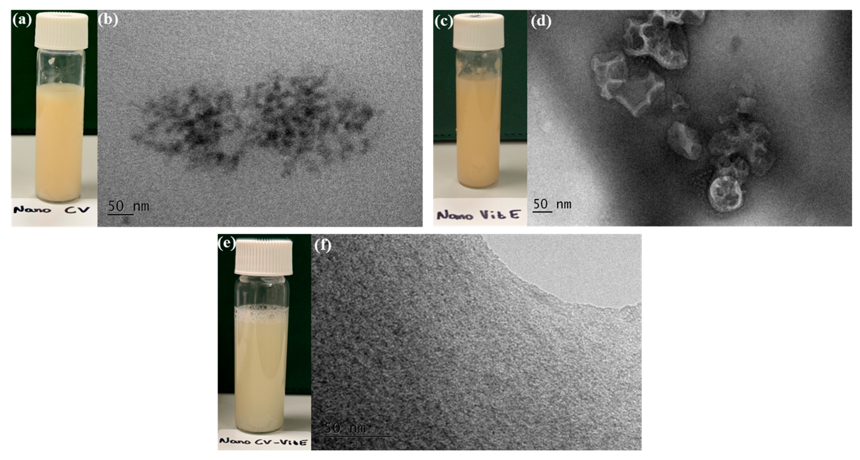 Gels 12 00300 g004