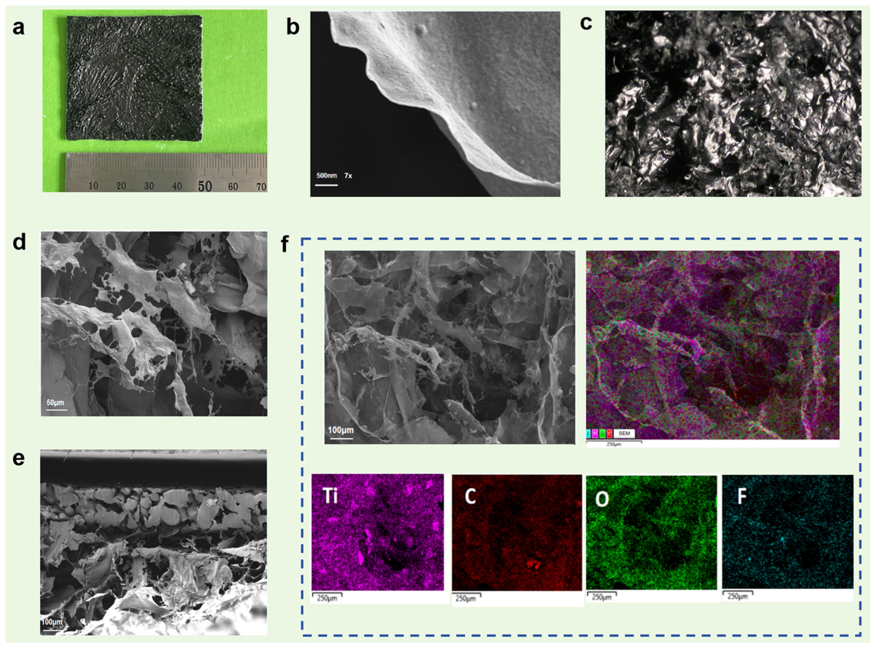 Gels 12 00320 g001