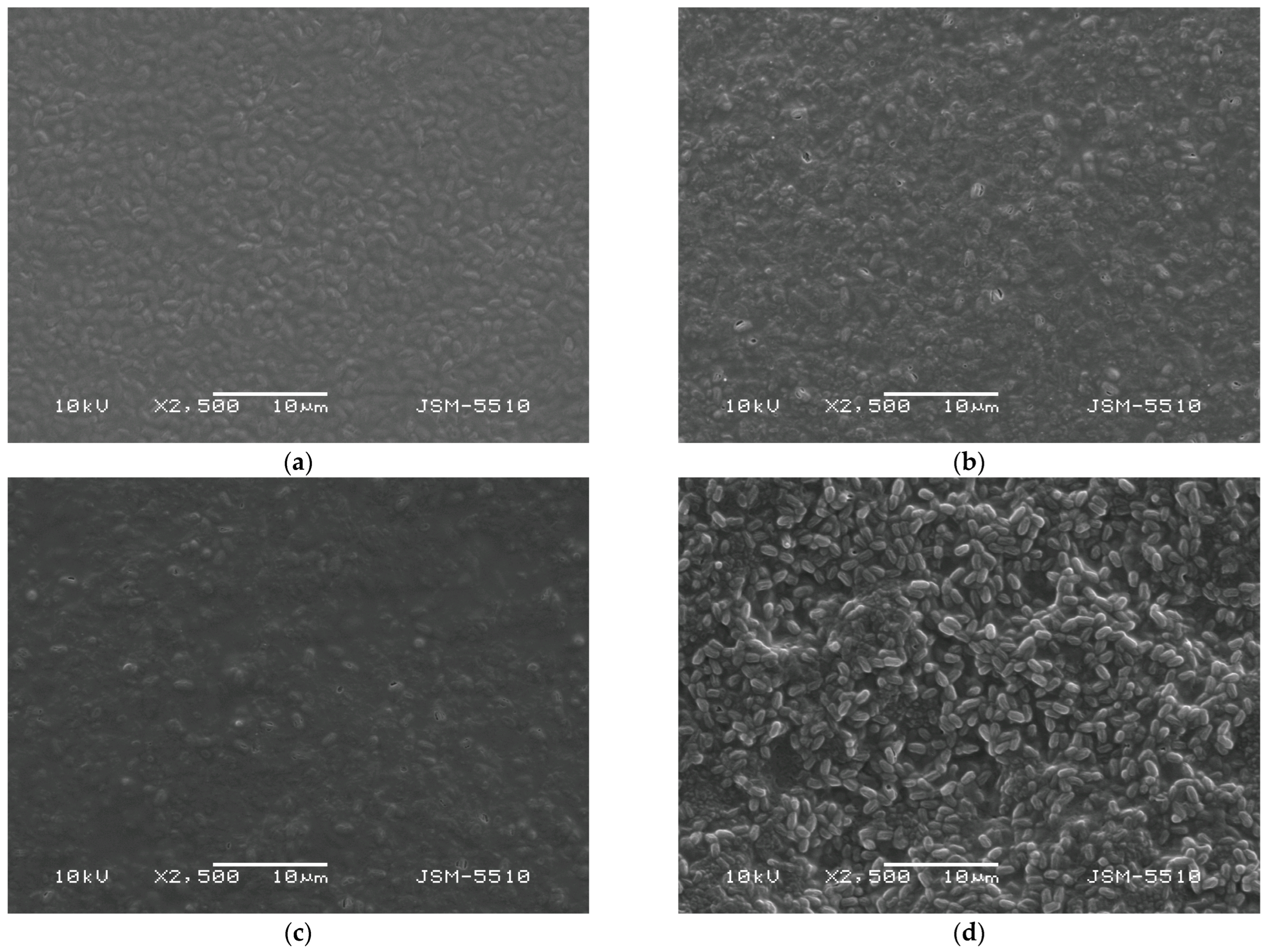 Gels 12 00366 g001
