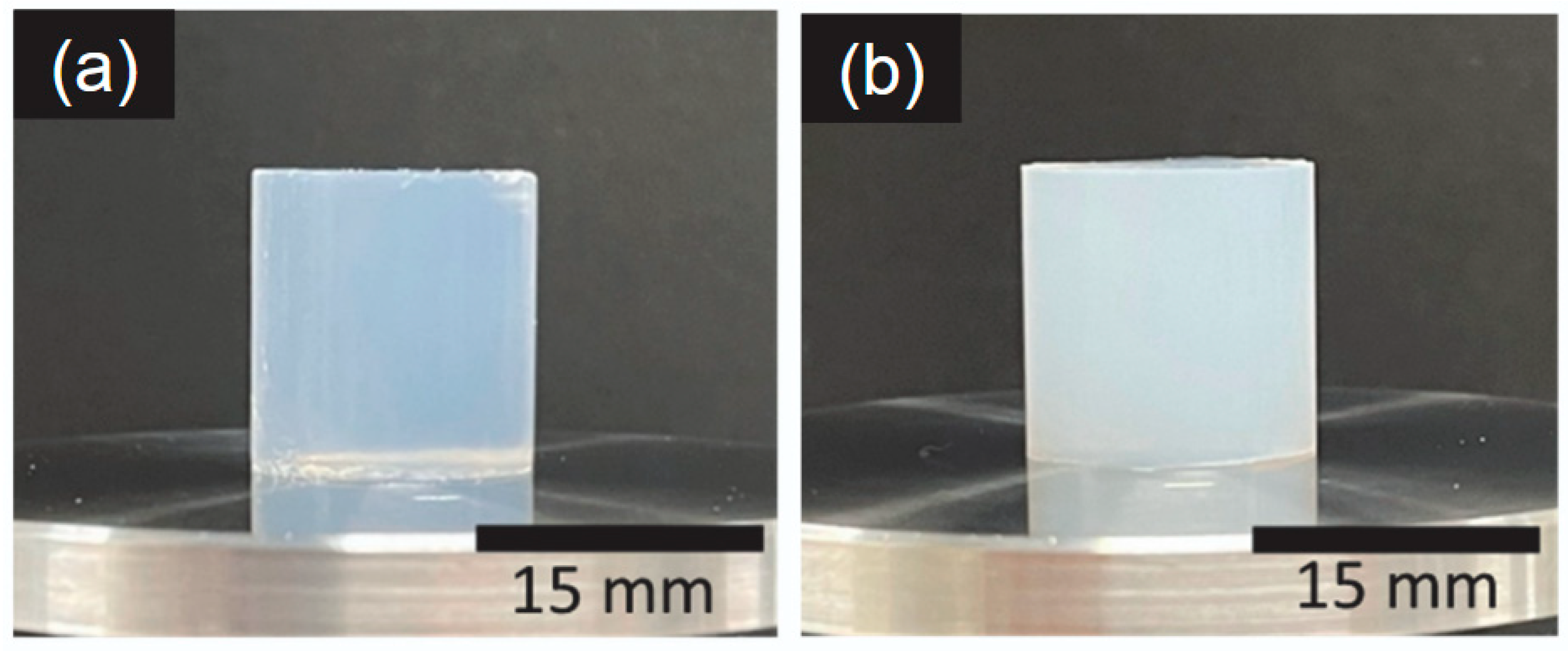 Gels 12 00374 g002