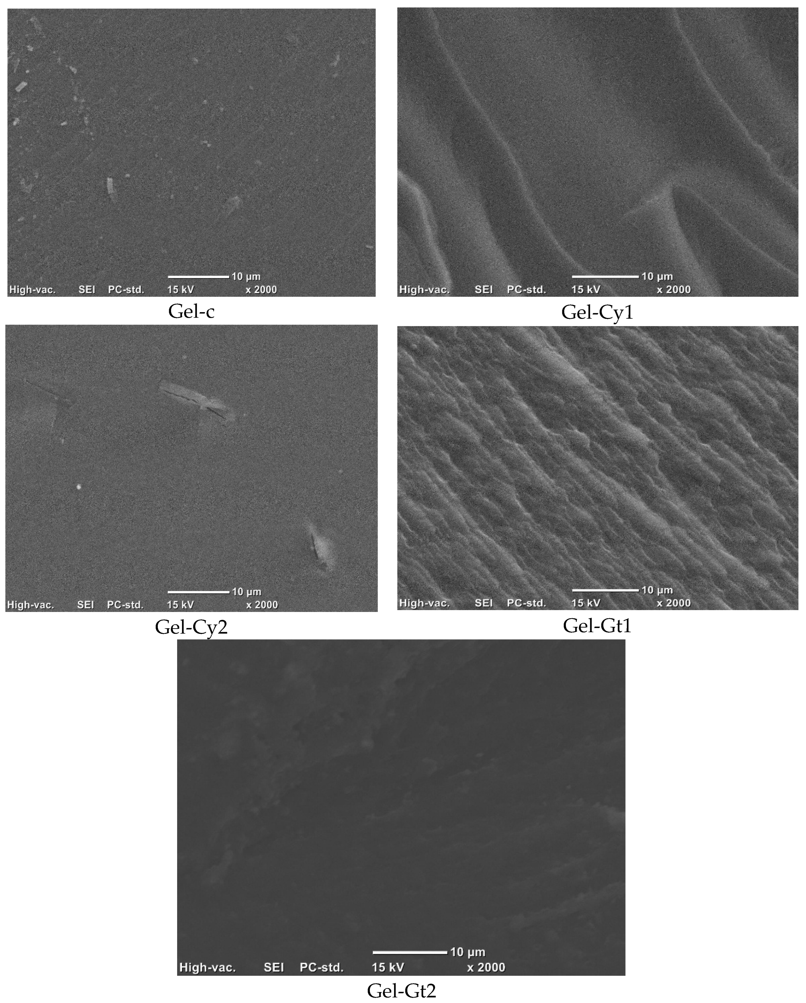 Gels 12 00404 g008