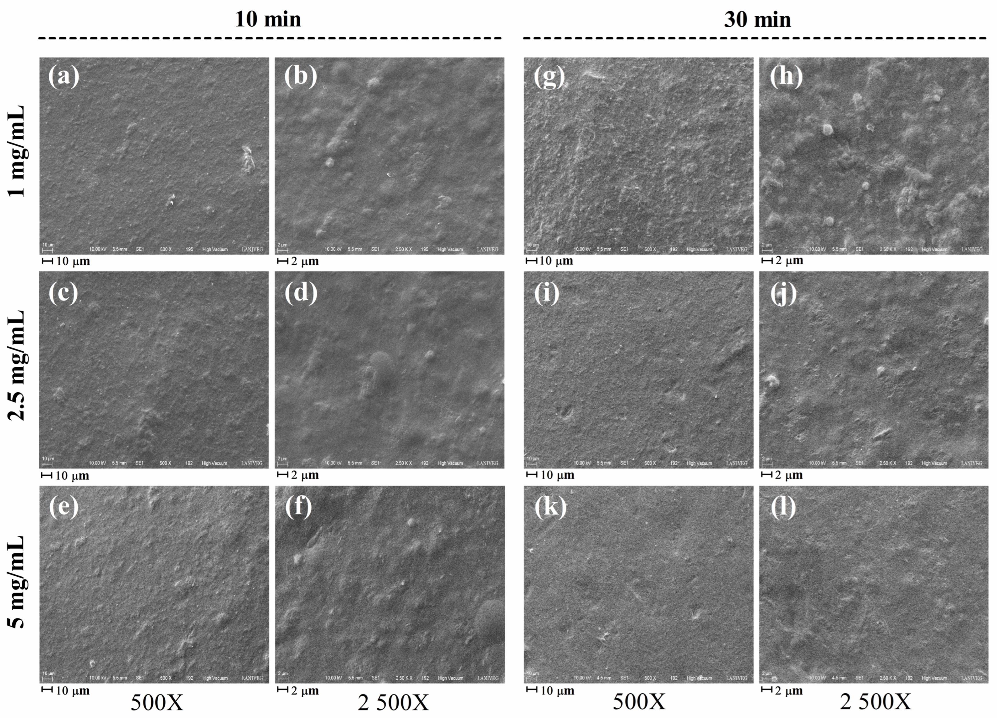 Gels 12 00406 g004