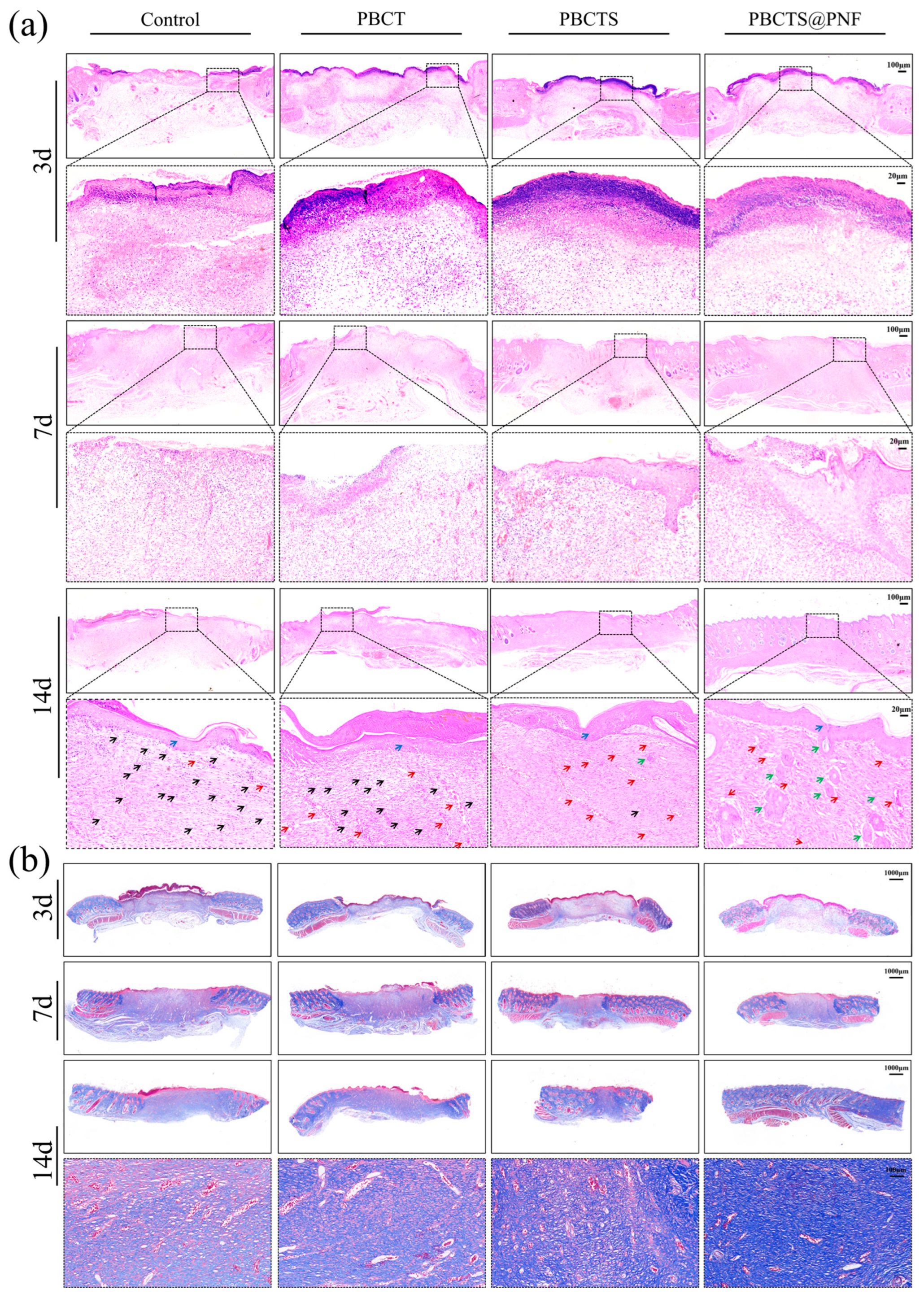 Gels 12 00417 g009