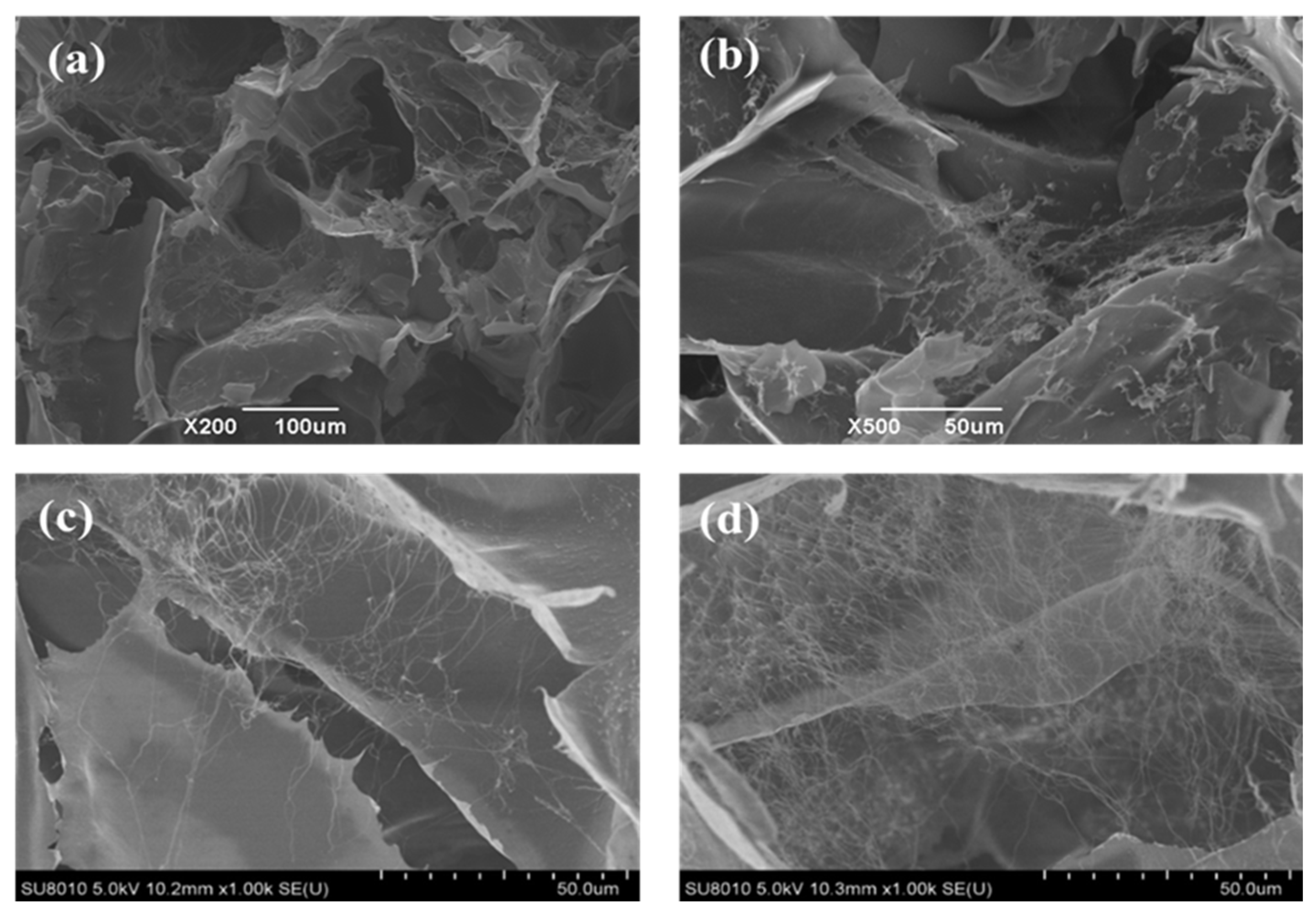 Gels 12 00443 g004