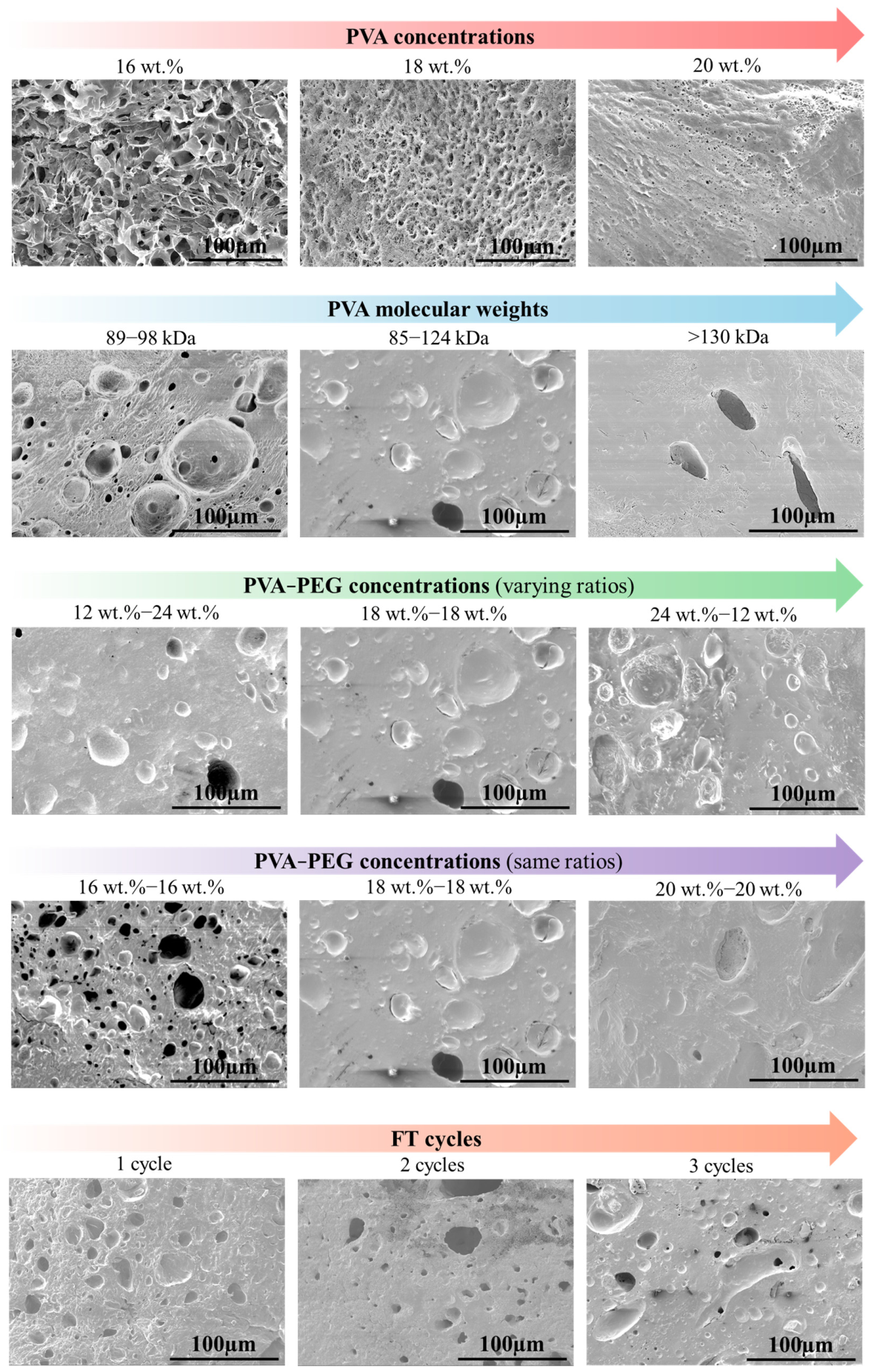 Gels 12 00494 g002