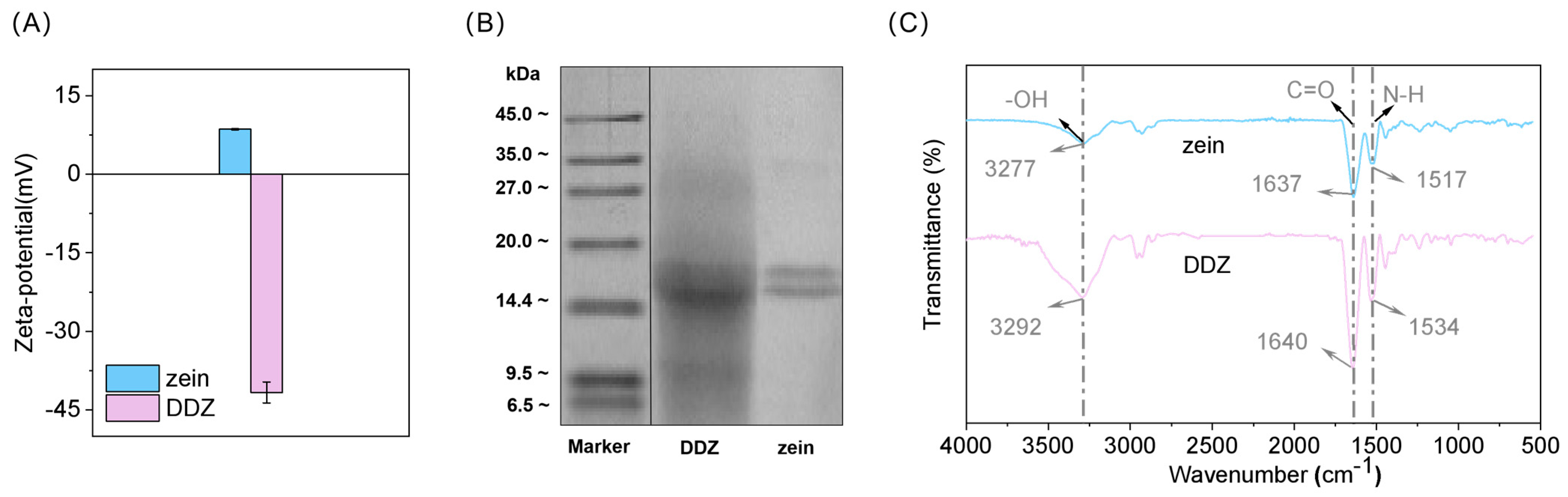 Gels 12 00506 g002